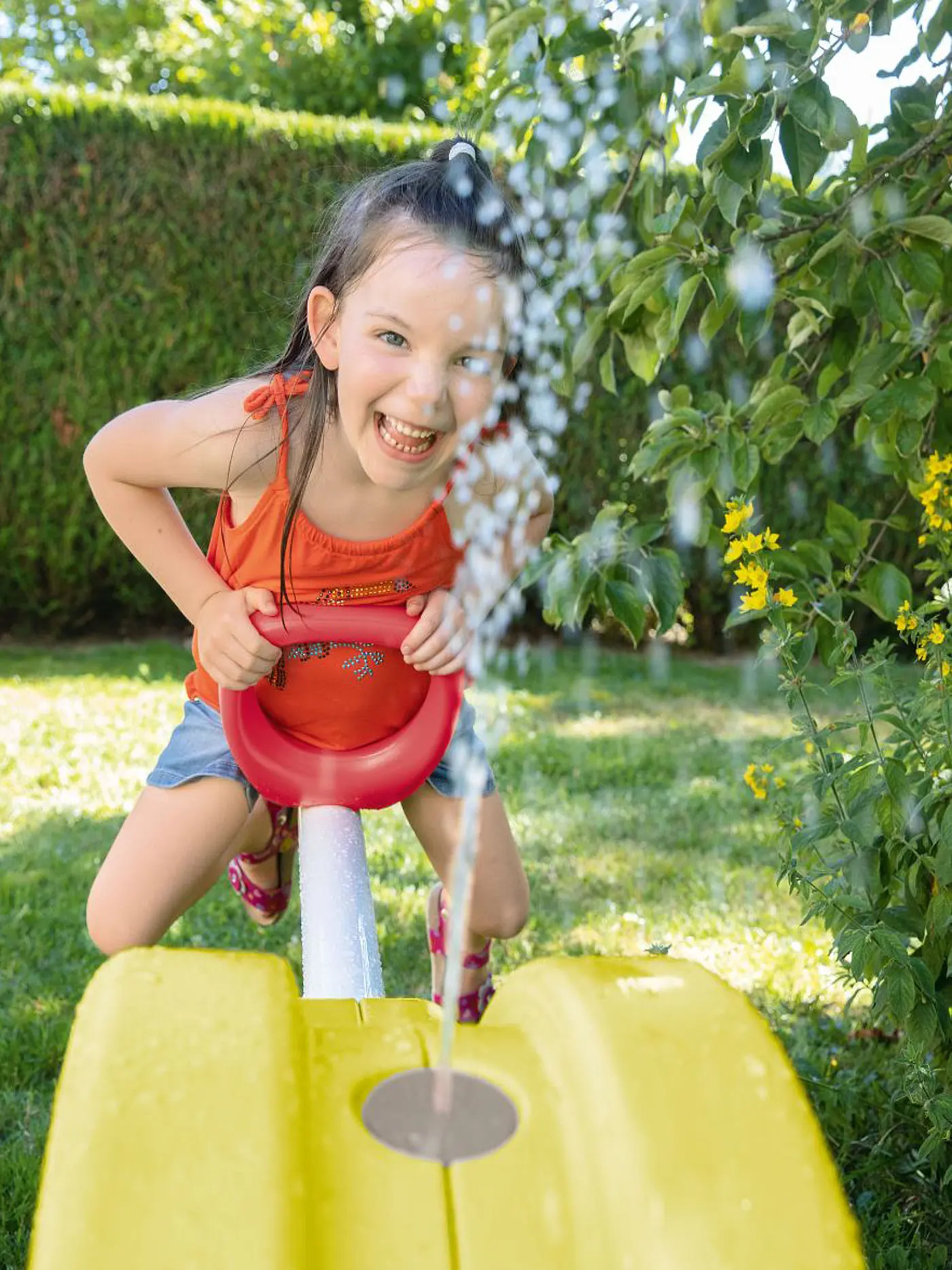 BIG | Wasserwippe | 