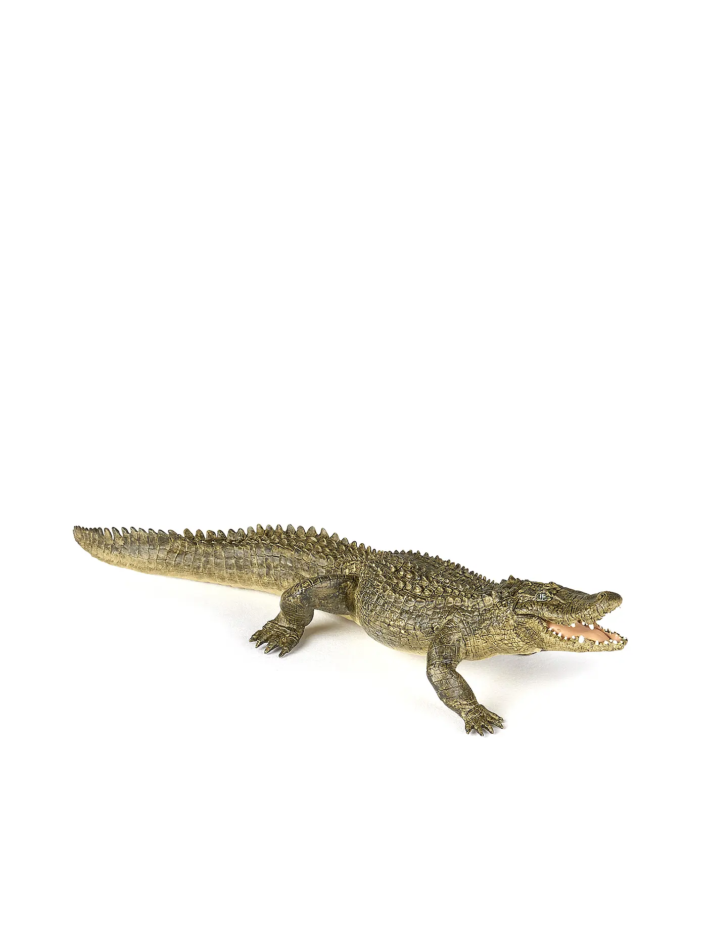 PAPO | Alligator | 