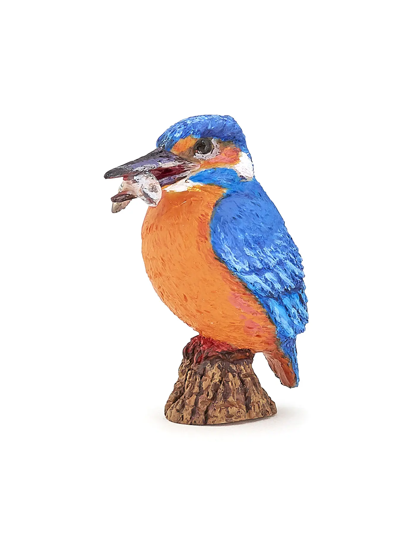 PAPO | Eisvogel | 