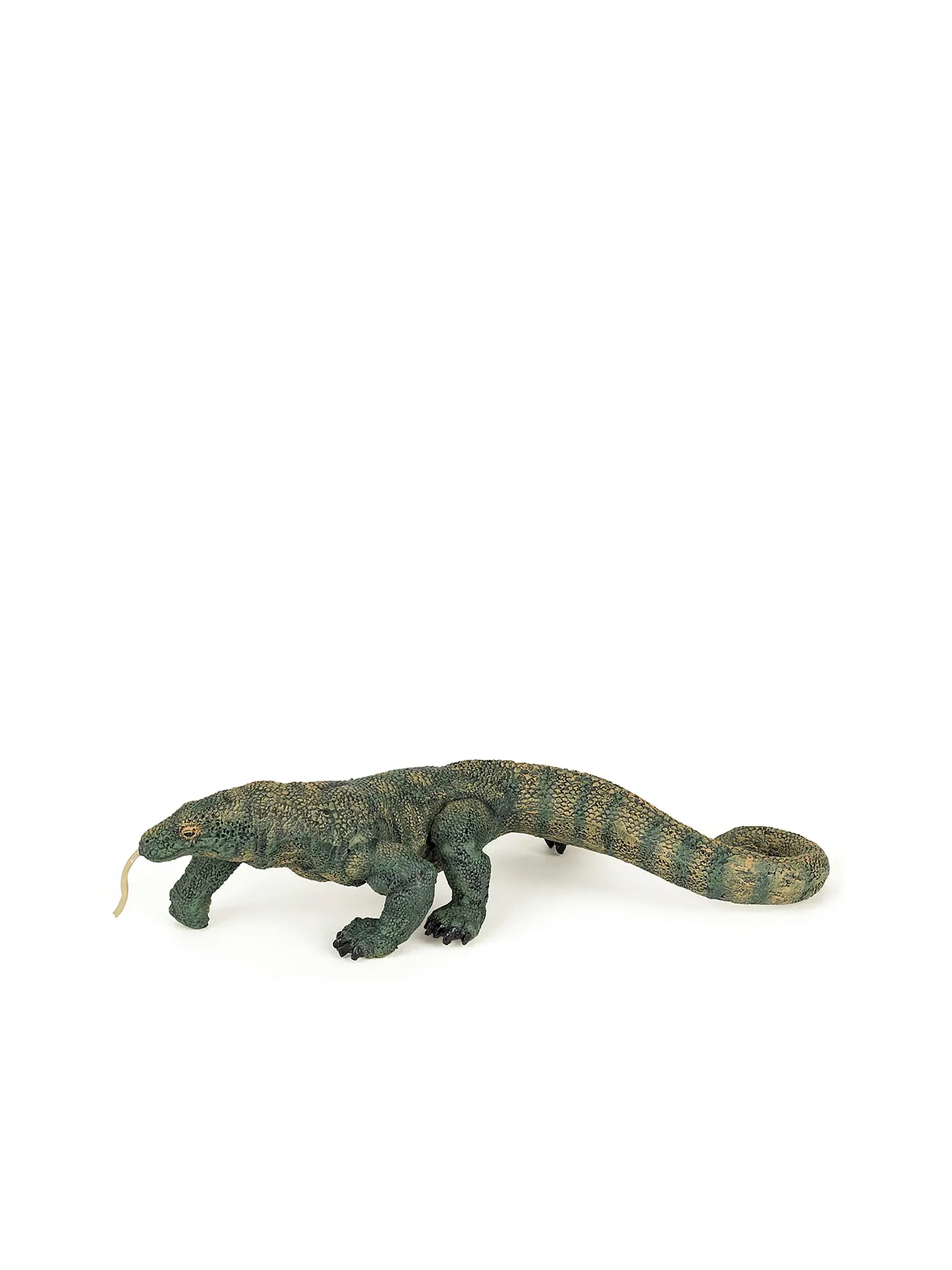 PAPO | Komodowaran | 