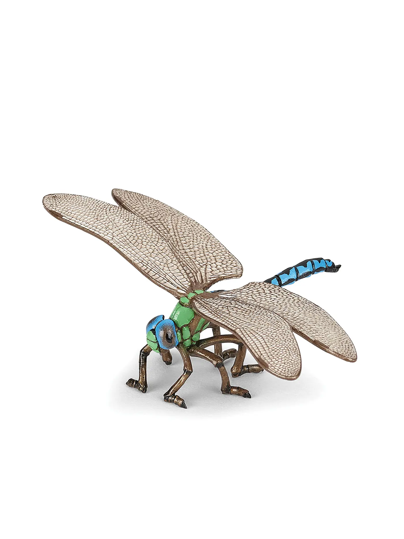 PAPO | Libelle | 