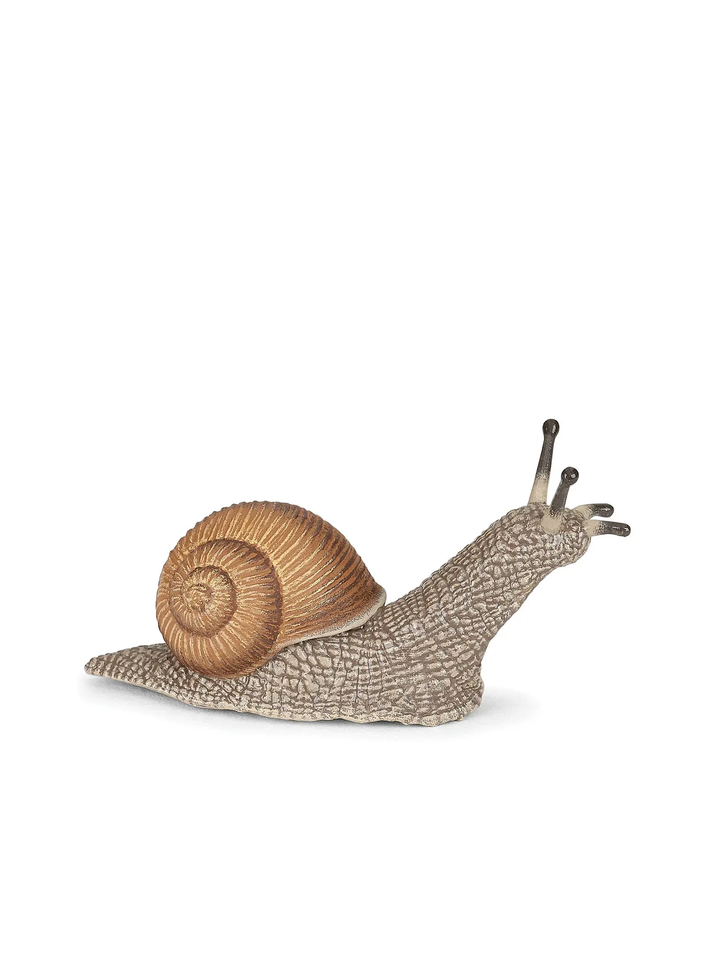 PAPO | Schnecke | 