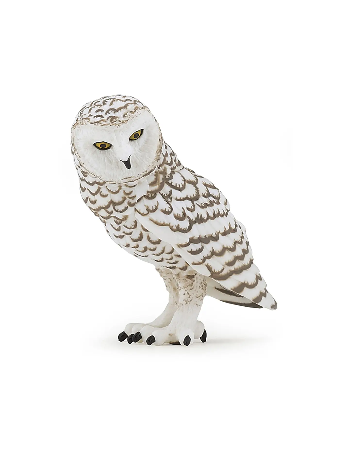 PAPO | Schneeeule | 