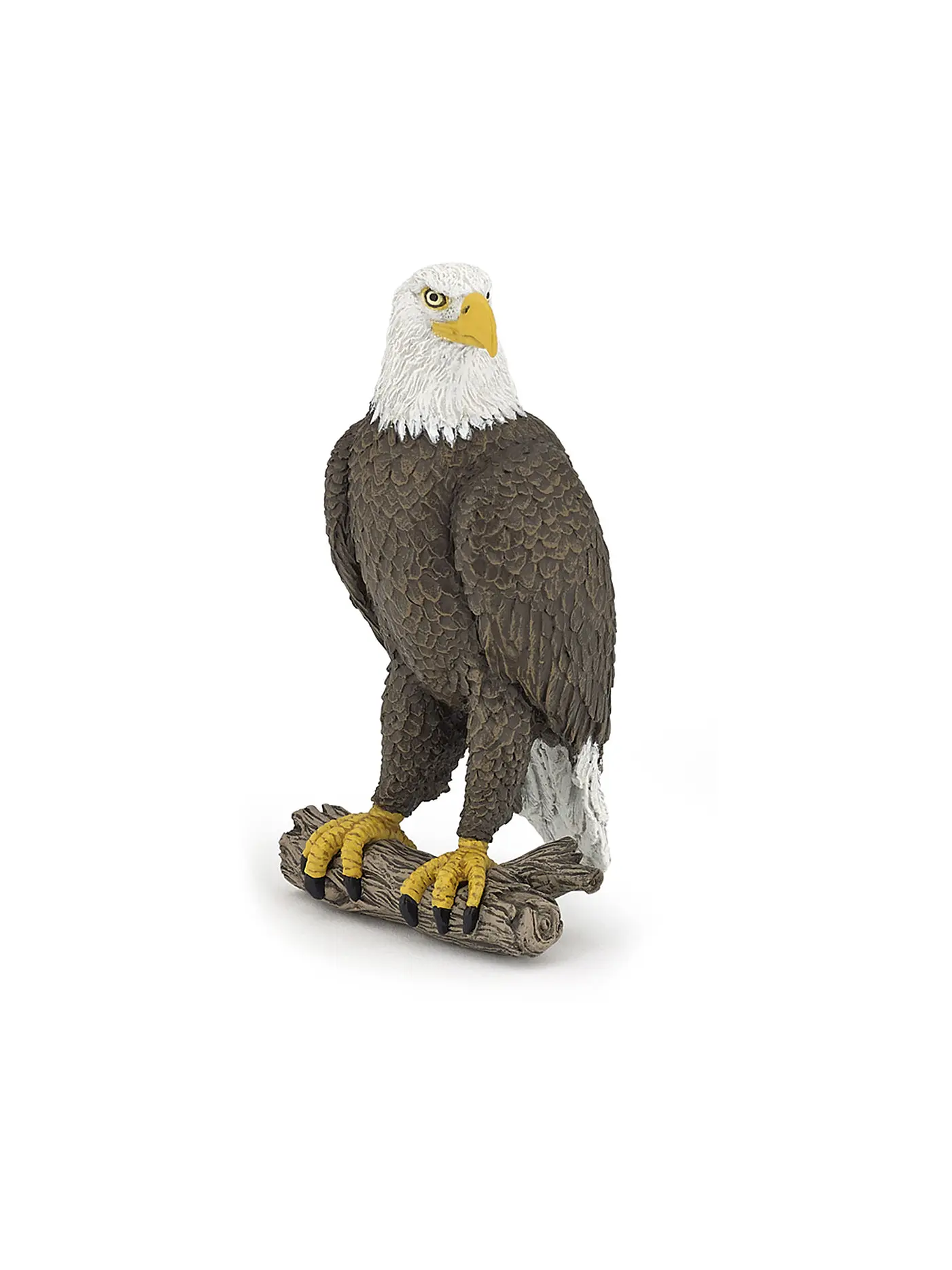 PAPO | Seeadler | 