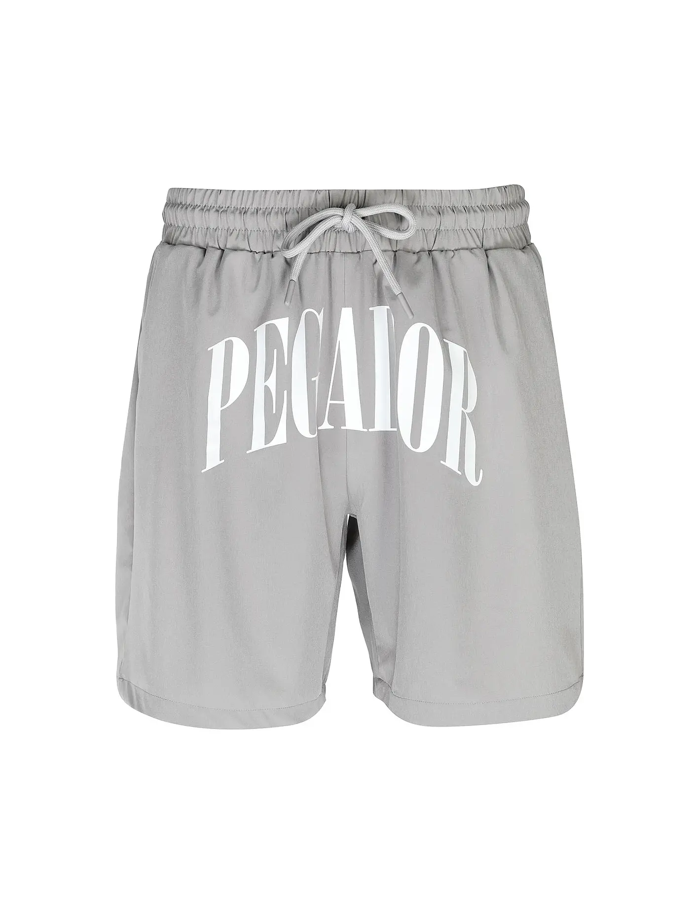 PEGADOR | Badeshorts | grau