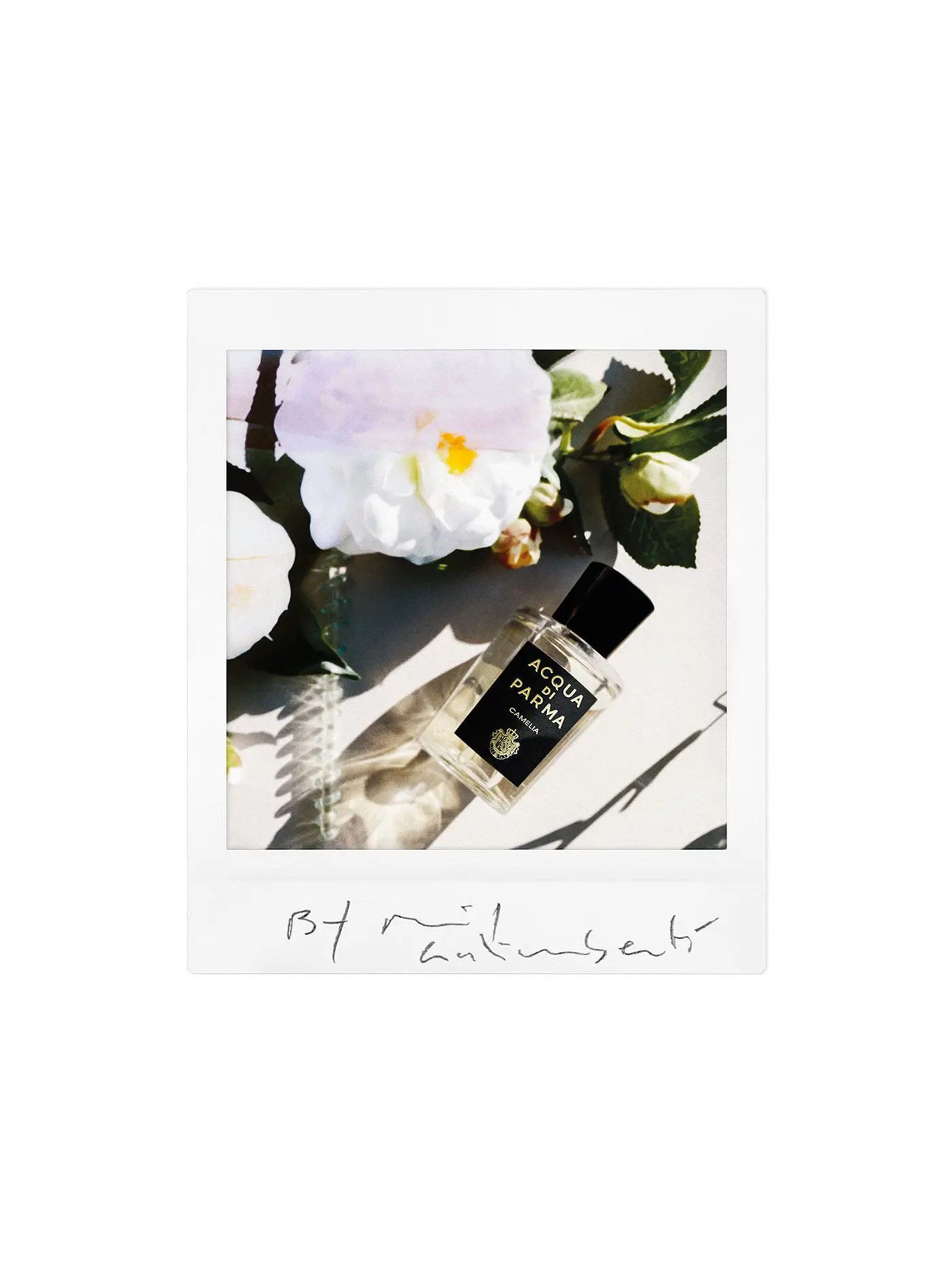 ACQUA DI PARMA | Camelia Eau de Parfum  Natural Spray 100ml | keine Farbe