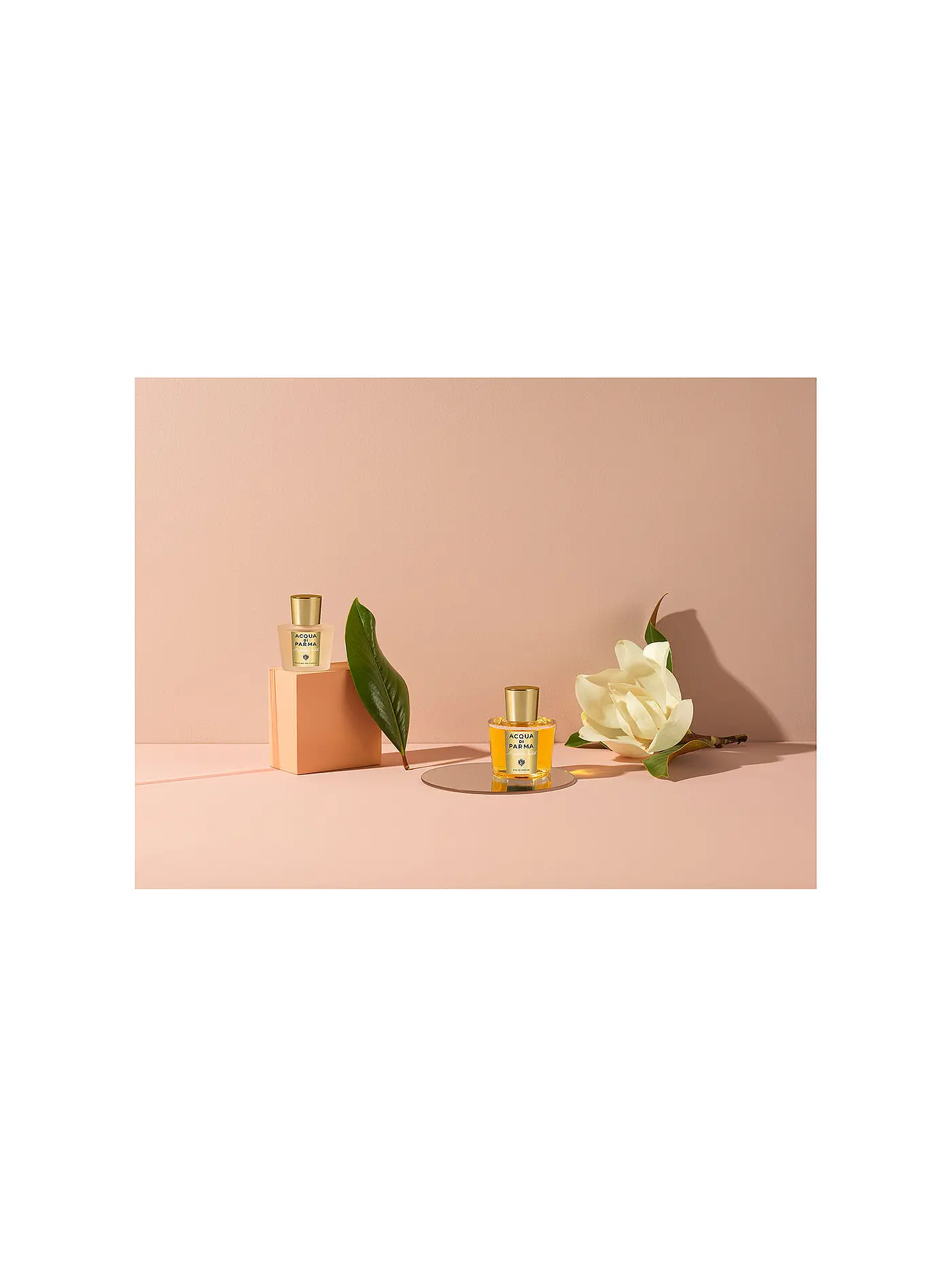 ACQUA DI PARMA | Magnolia Nobile Eau de Parfum 100ml | keine Farbe