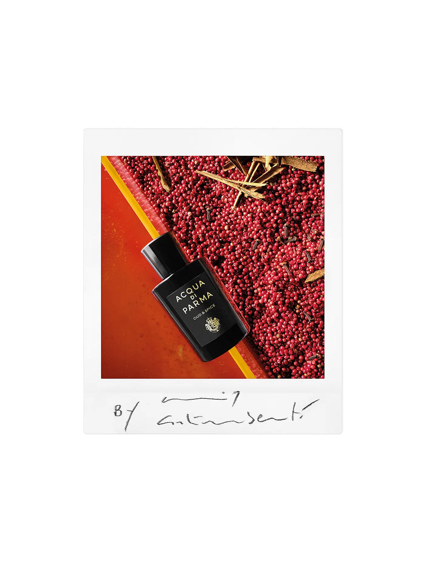 ACQUA DI PARMA | Signatures of the Sun Oud&Spice Eau de Parfum 180ml | keine Farbe