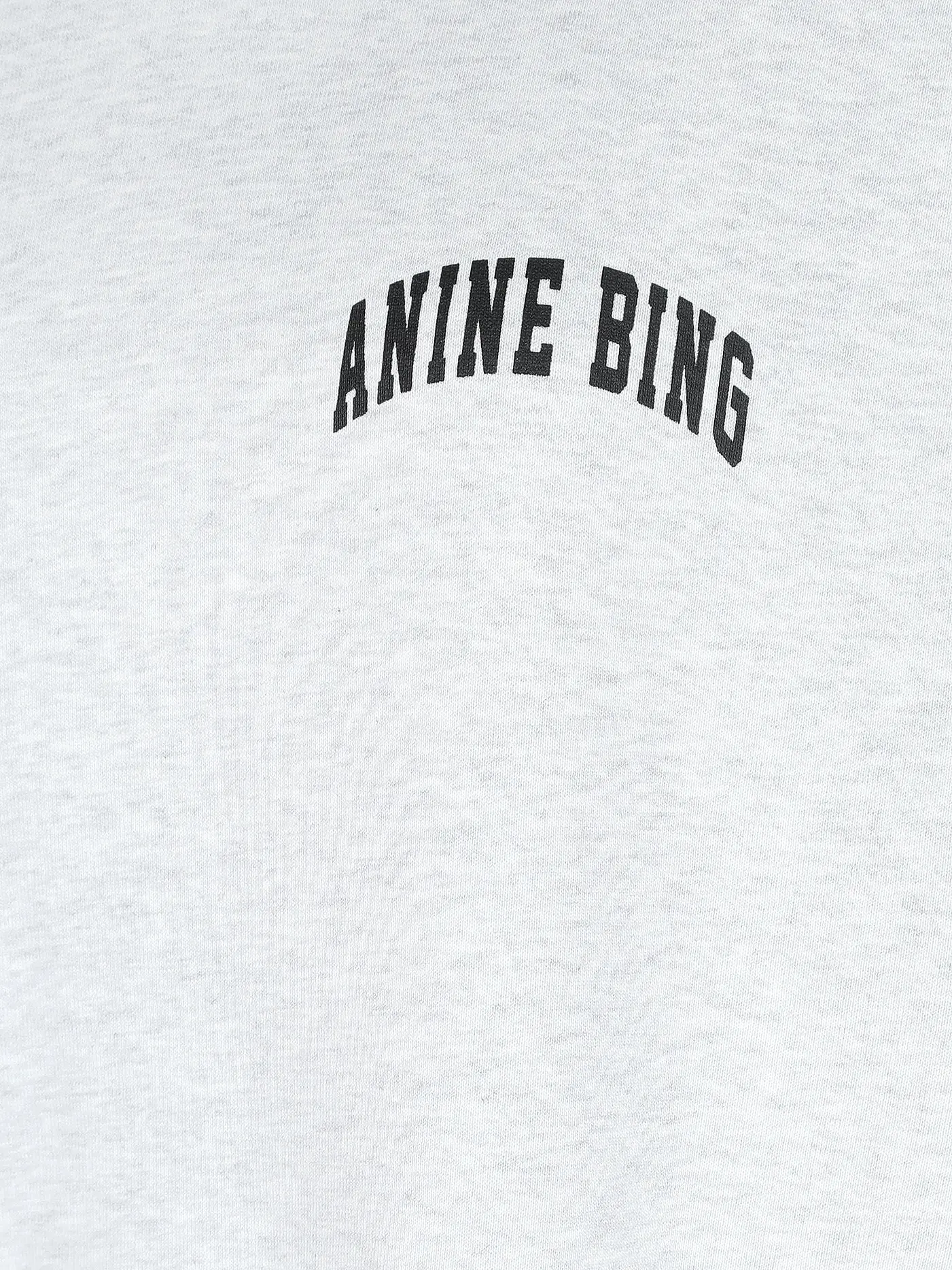 ANINE BING | Kapuzensweater - Hoodie ALEC | hellgrau