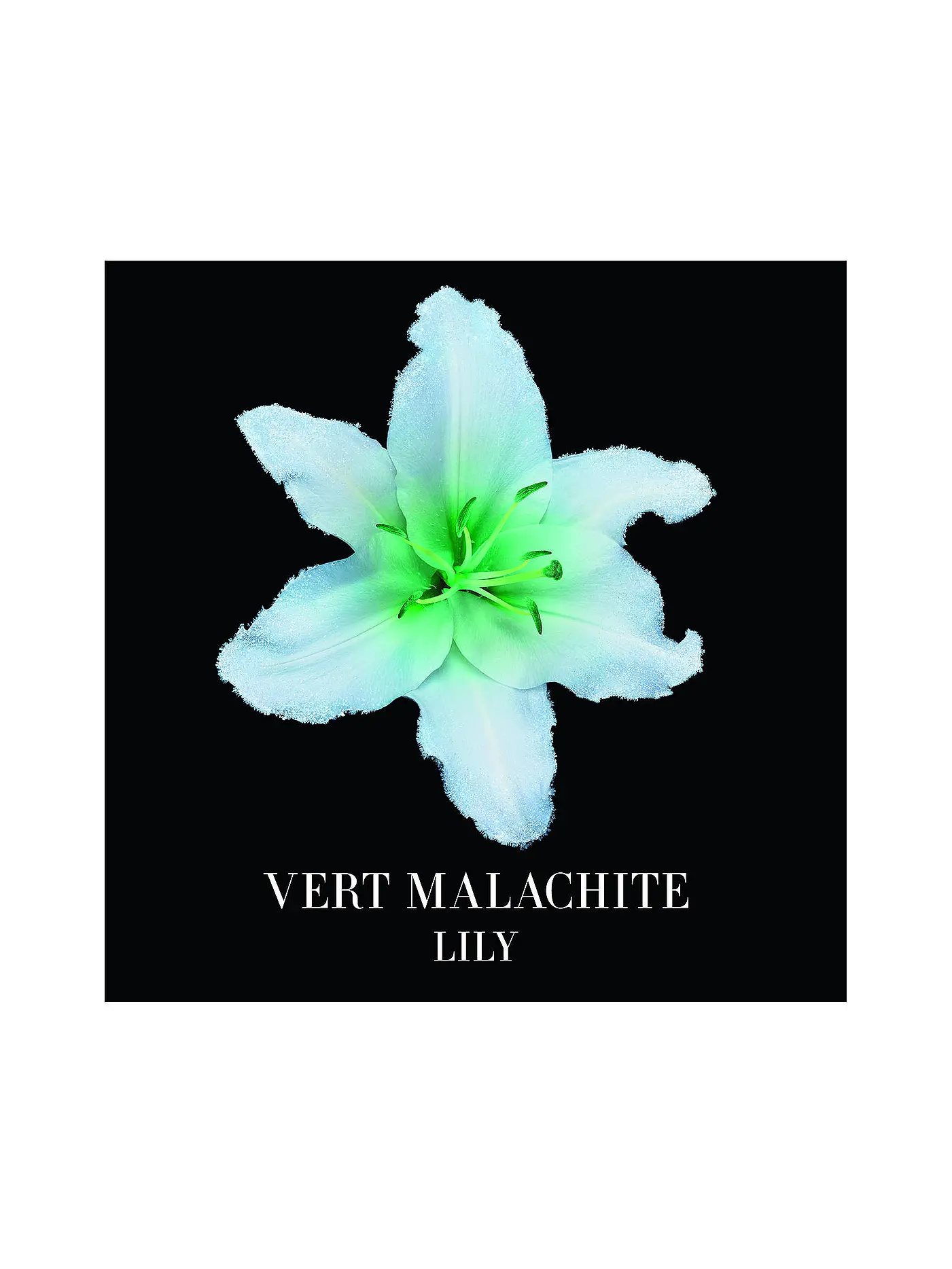 ARMANI/PRIVÉ | Vert Malachite Eau de Parfum 50ml | keine Farbe