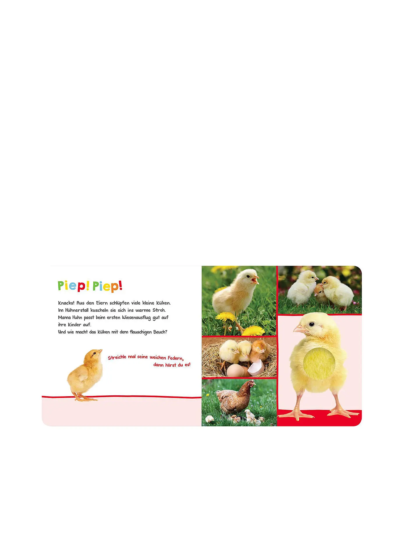 ARS EDITION VERLAG | Buch - Hör mal rein, wer kann das sein? - Im Frühling | keine Farbe
