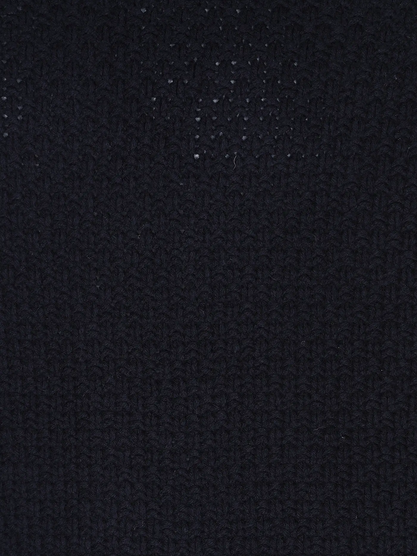 ASPESI | Rollkragenpullover  | dunkelblau