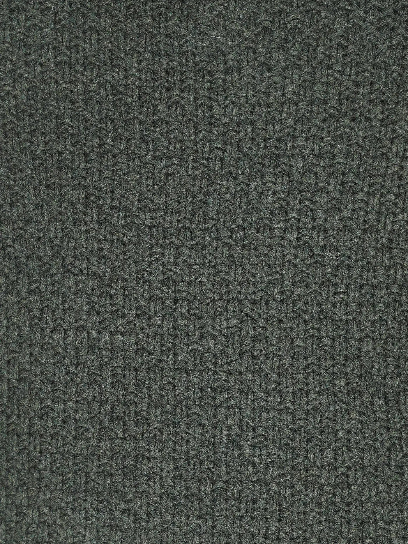 ASPESI | Rollkragenpullover  | olive