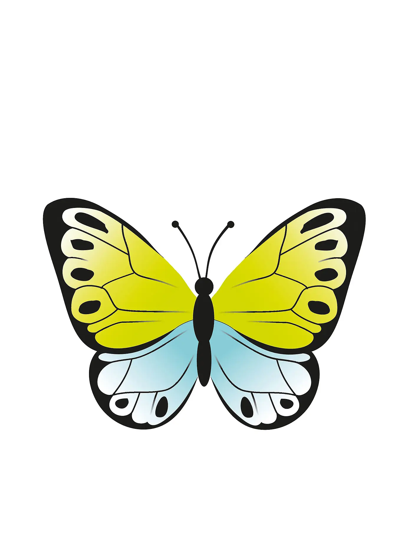 BELEDUC | Betty Fly | keine Farbe