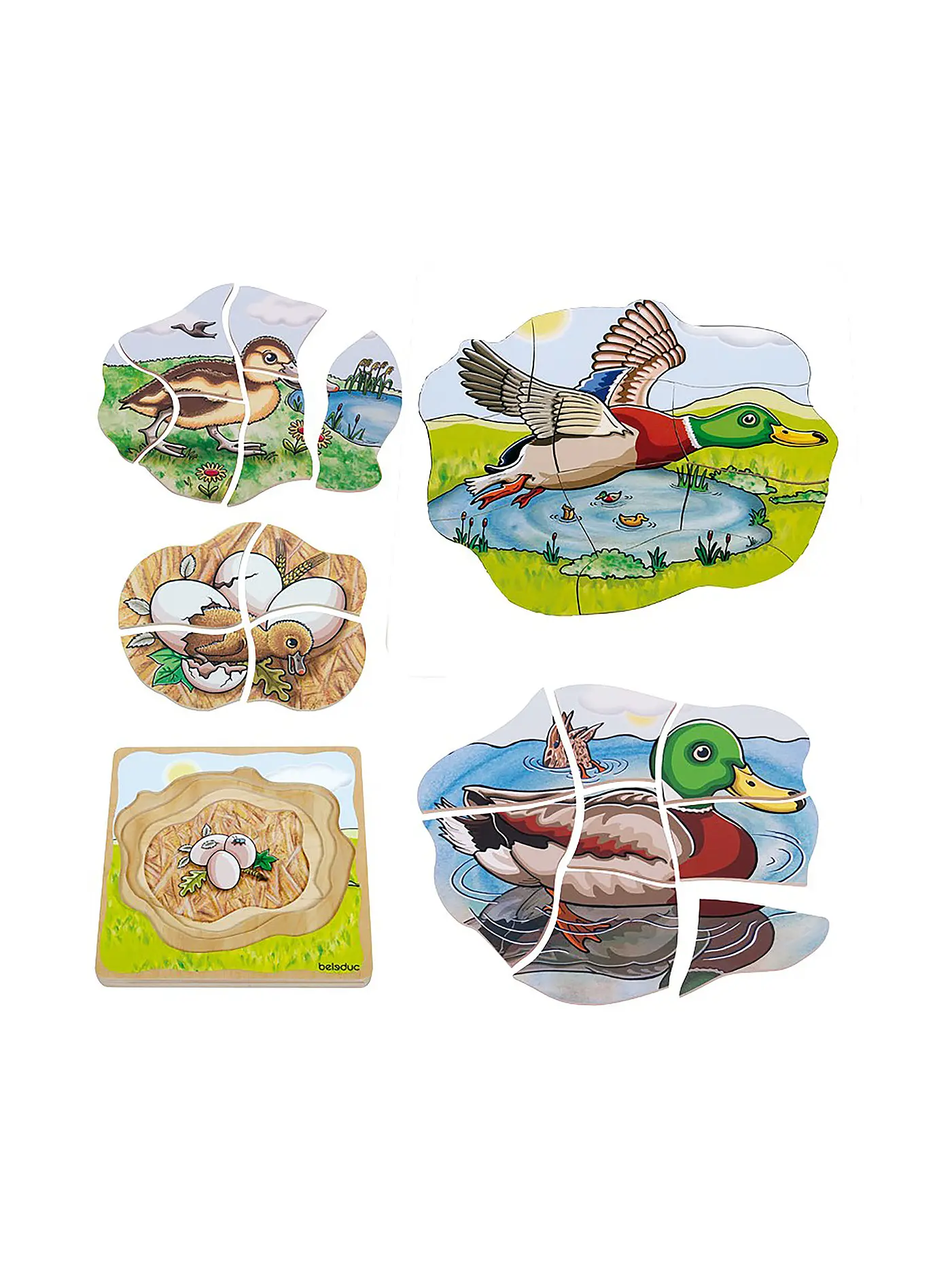 BELEDUC | Lagenpuzzle Ente | keine Farbe