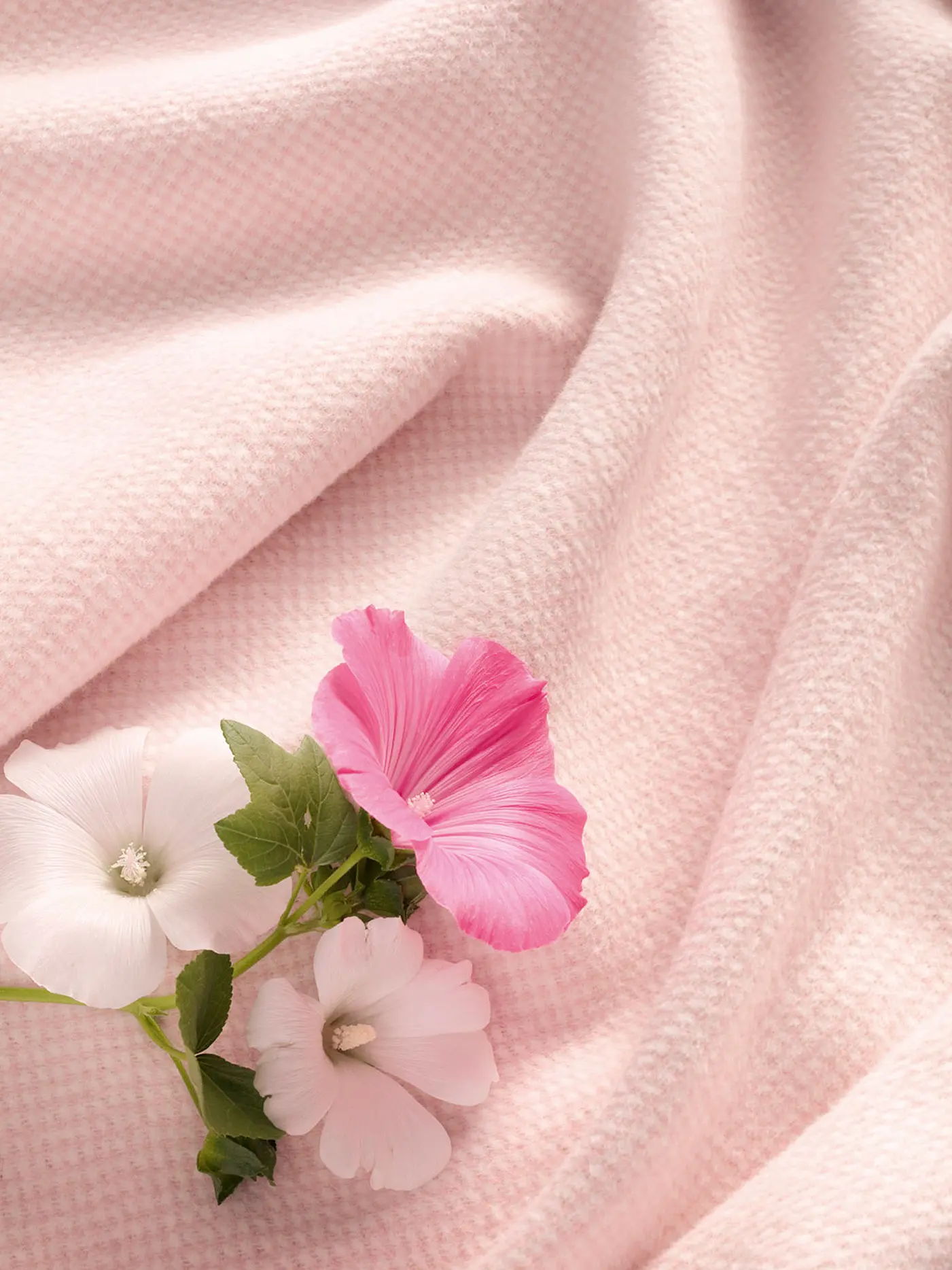 BIEDERLACK | Wohndecke - Plaid PEARL 150x200cm Rose | rosa