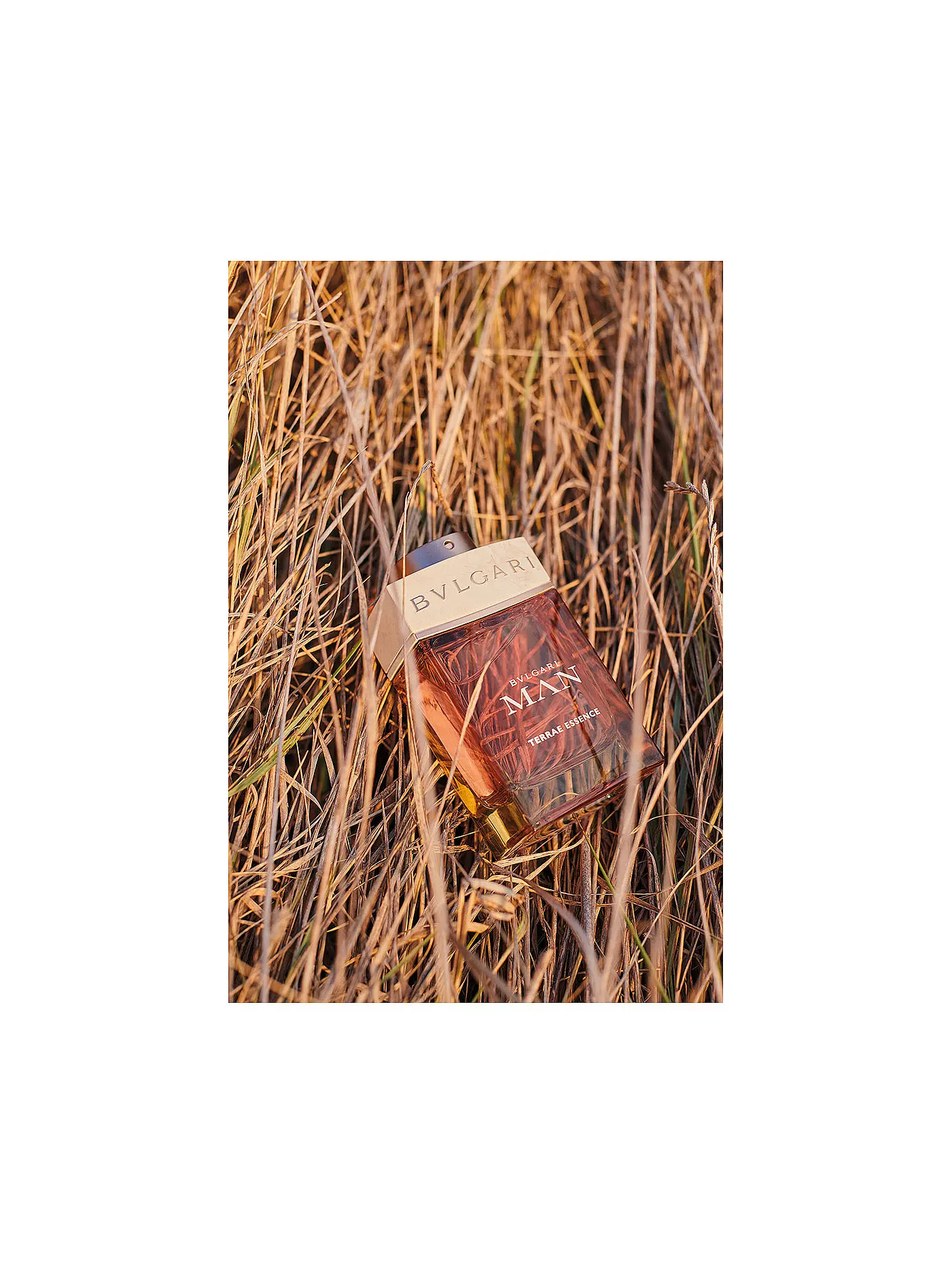 BVLGARI | Terrae Essence Eau de Parfum 100ml | keine Farbe