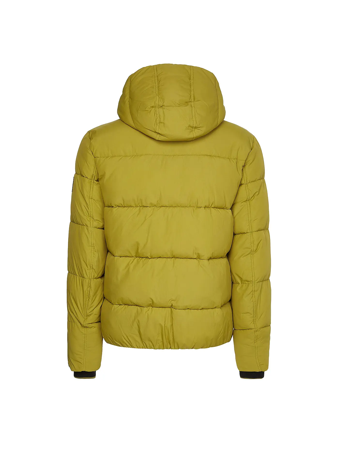 CALVIN KLEIN | Steppjacke | grün