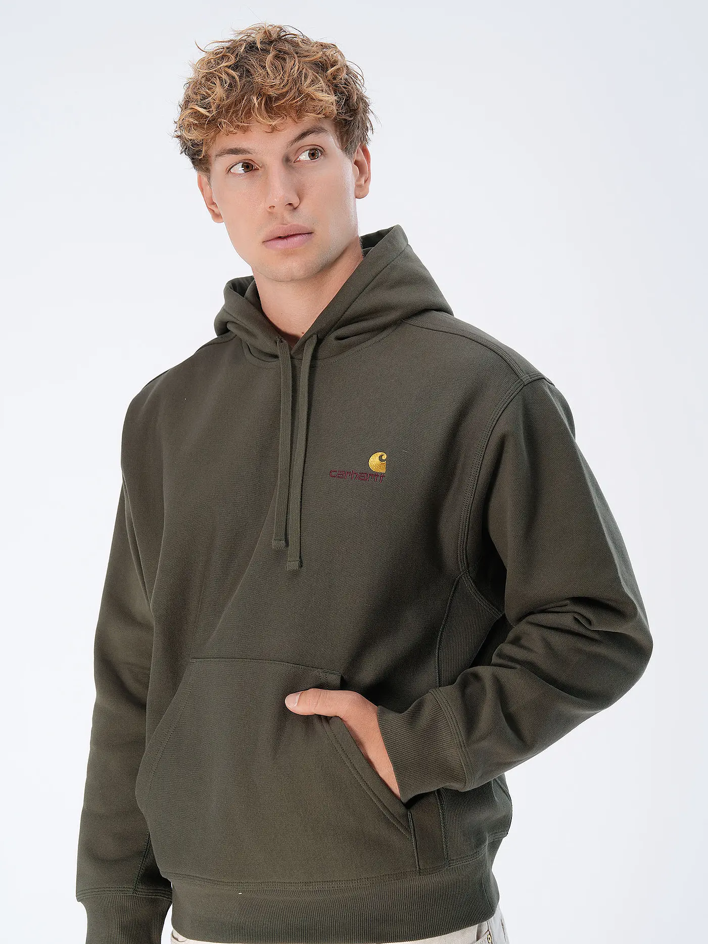 CARHARTT WIP | Kapuzensweater - Hoodie  | dunkelgrün