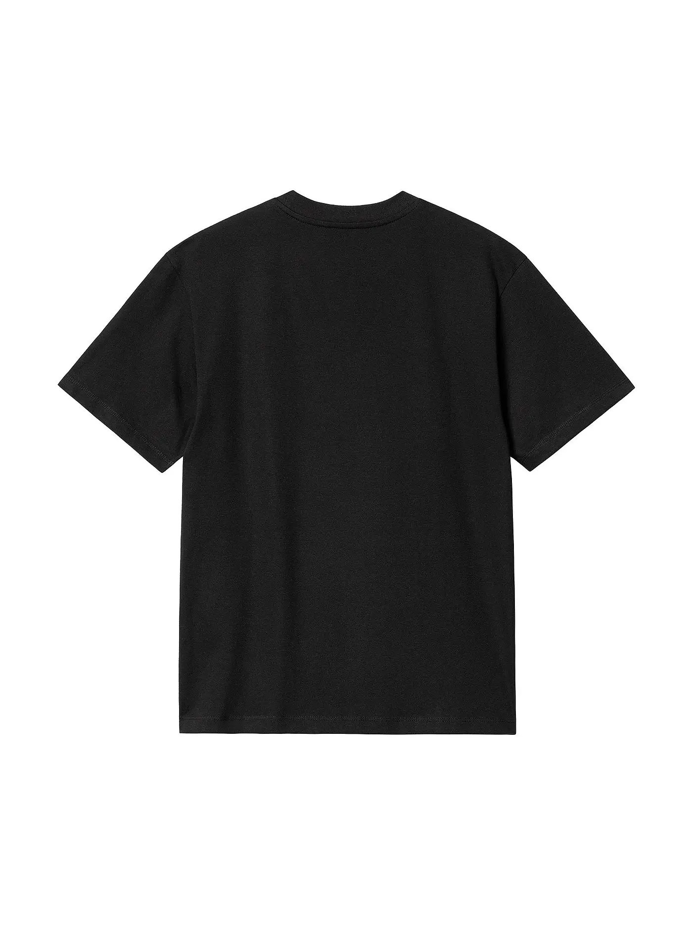 CARHARTT WIP | T-Shirt SCRIPT EMBROIDERY | schwarz