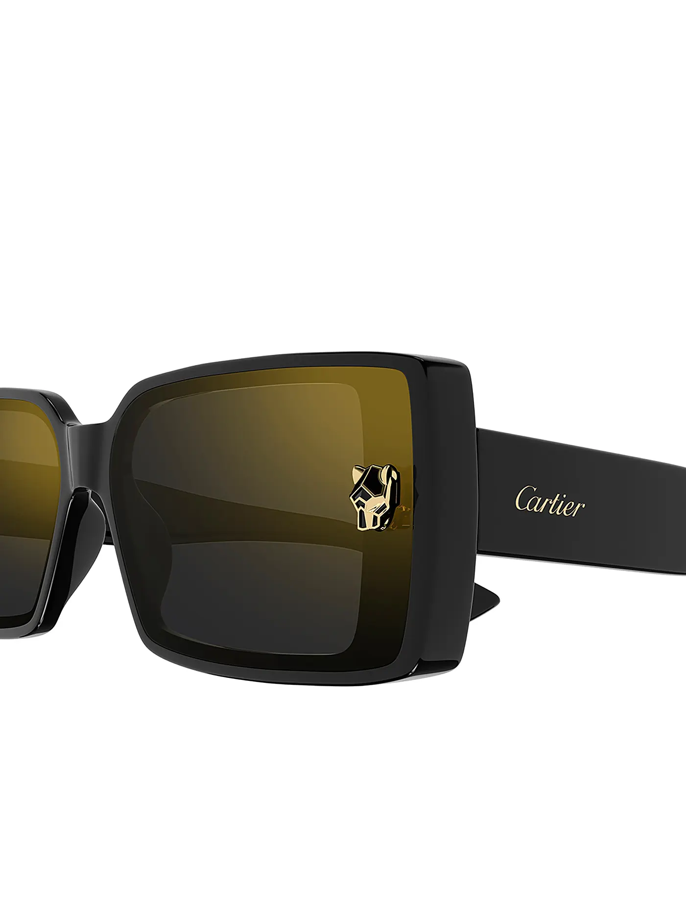 CARTIER | Sonnenbrille CT0358S | schwarz