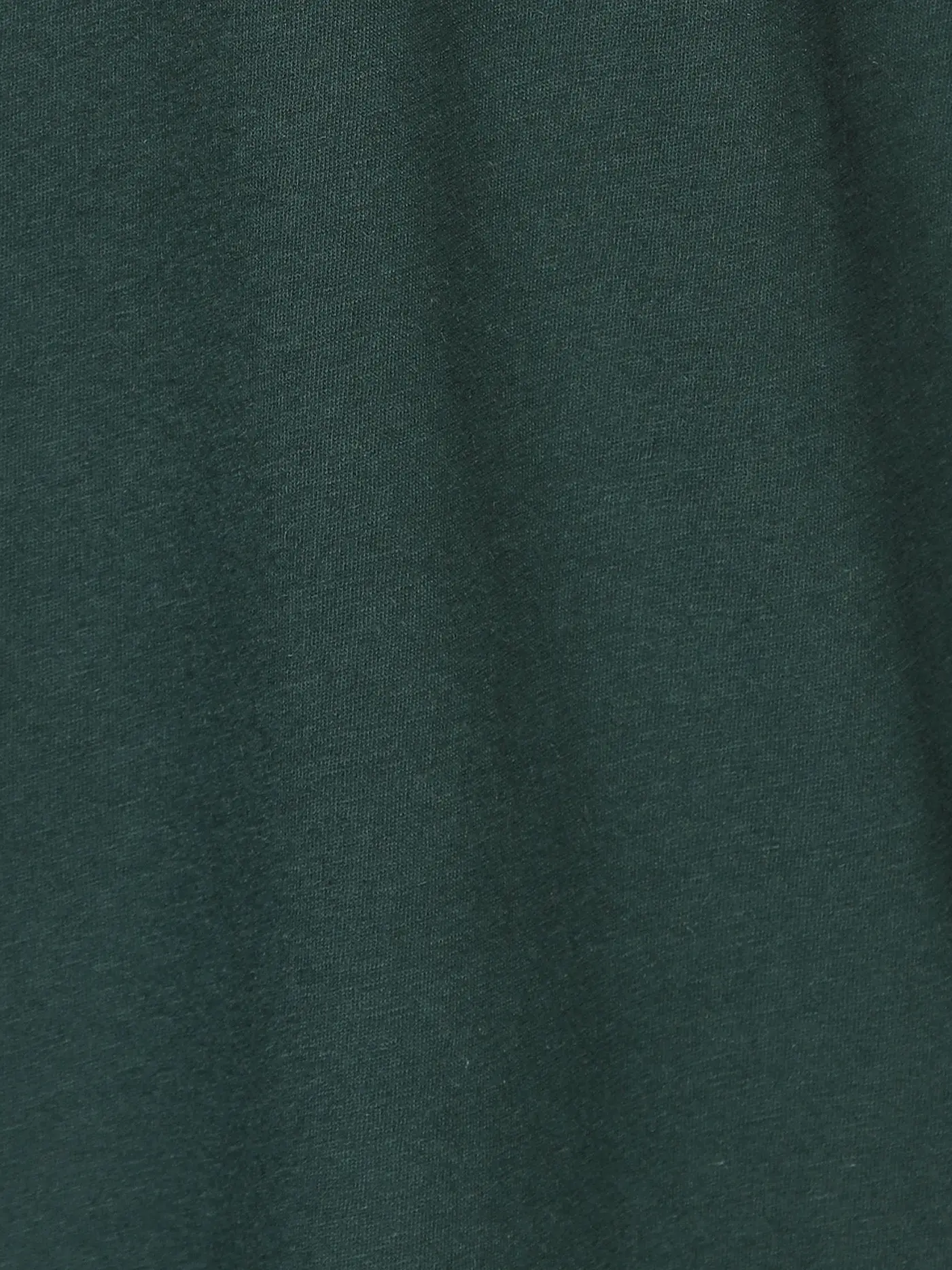 CLOSED | Langarmshirt | grün