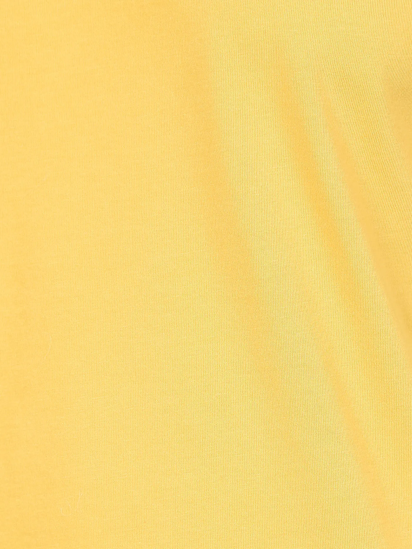 COLORFUL STANDARD | T-Shirt | gelb