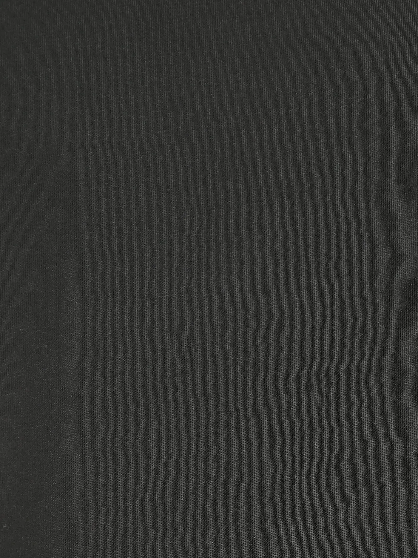 COLORFUL STANDARD | T-Shirt | schwarz