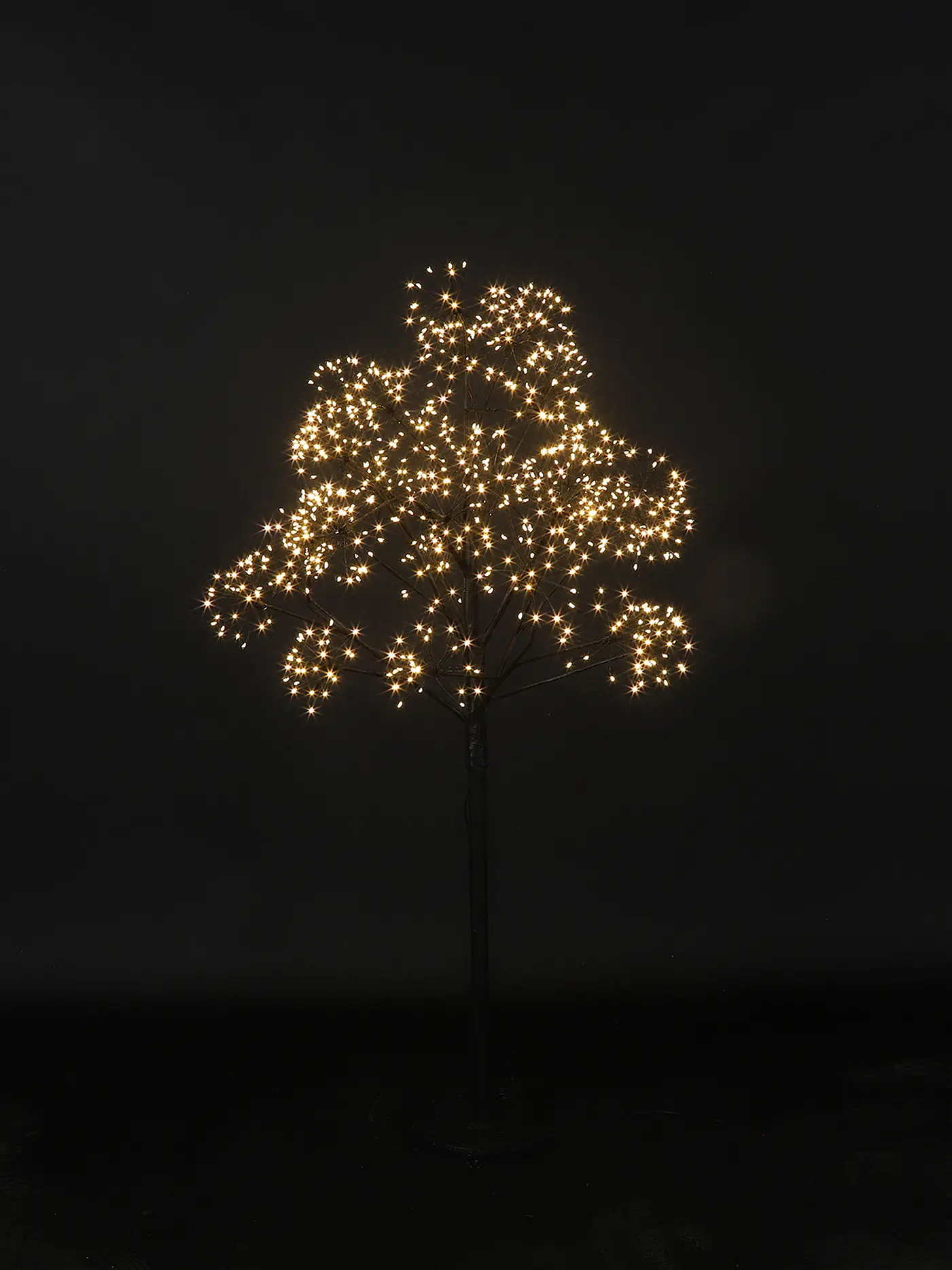 COUNTRYFIELD | Weihnachtsbaum LED DORION S 120cm Schwarz | schwarz