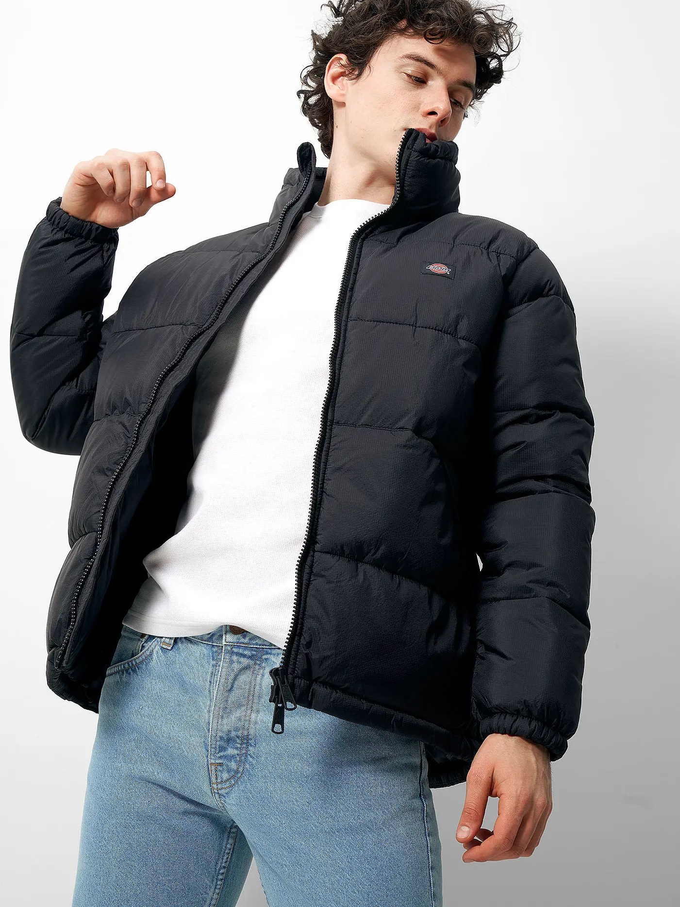 DICKIES | Daunenjacke Waldenburg | schwarz