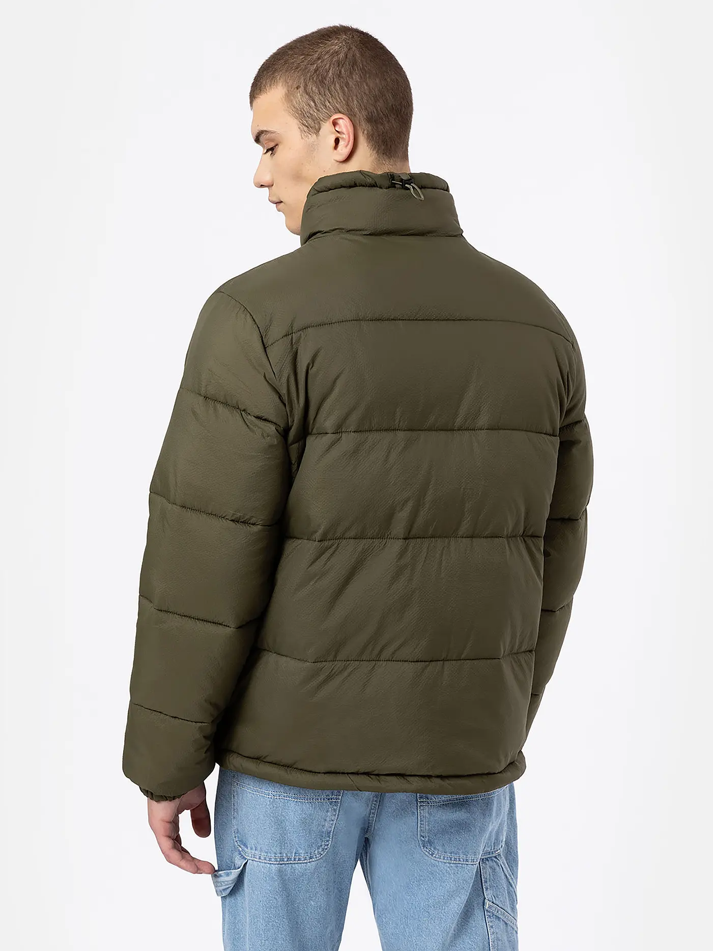 DICKIES | Steppjacke WALDENBURG | olive