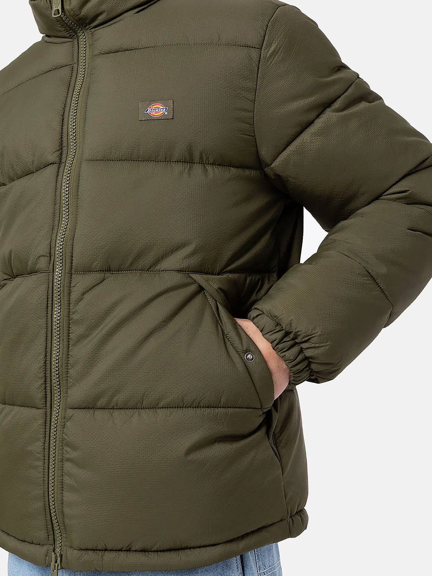 DICKIES | Steppjacke WALDENBURG | olive