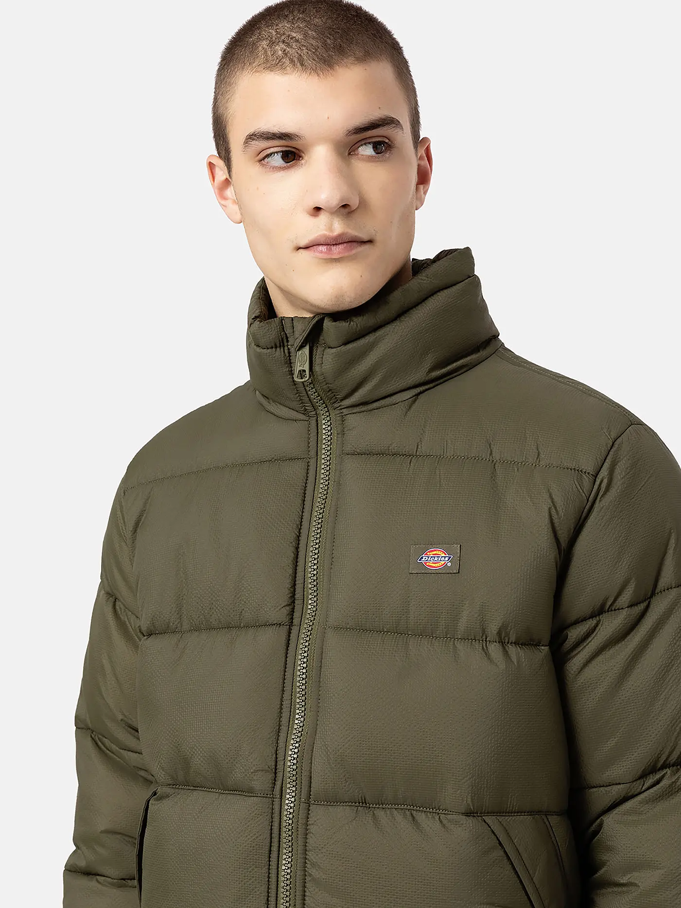 DICKIES | Steppjacke WALDENBURG | olive