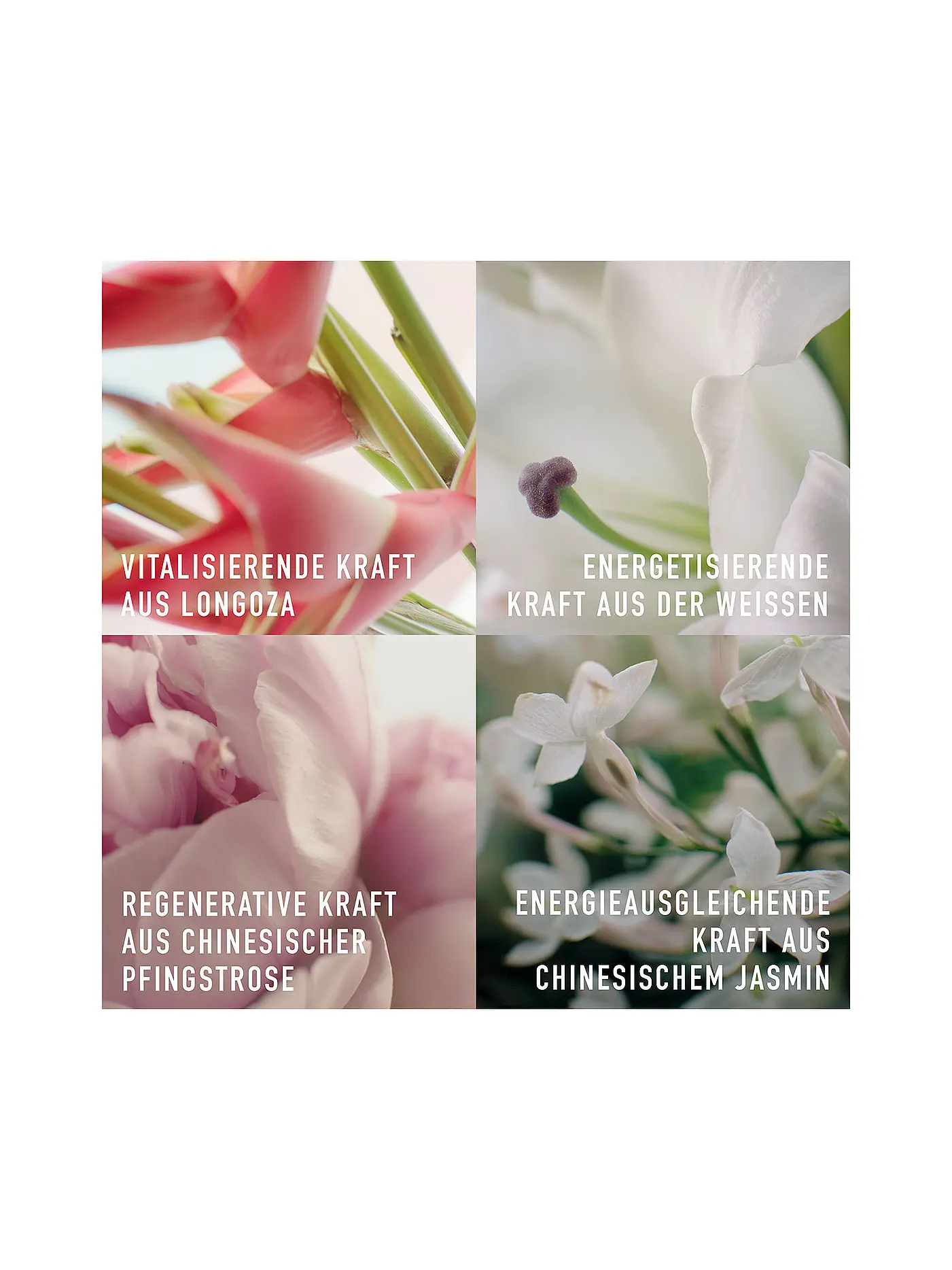 DIOR | Augencreme - Capture Totale Firming & Wrinkle-Correcting Eye Creme 15ml | keine Farbe