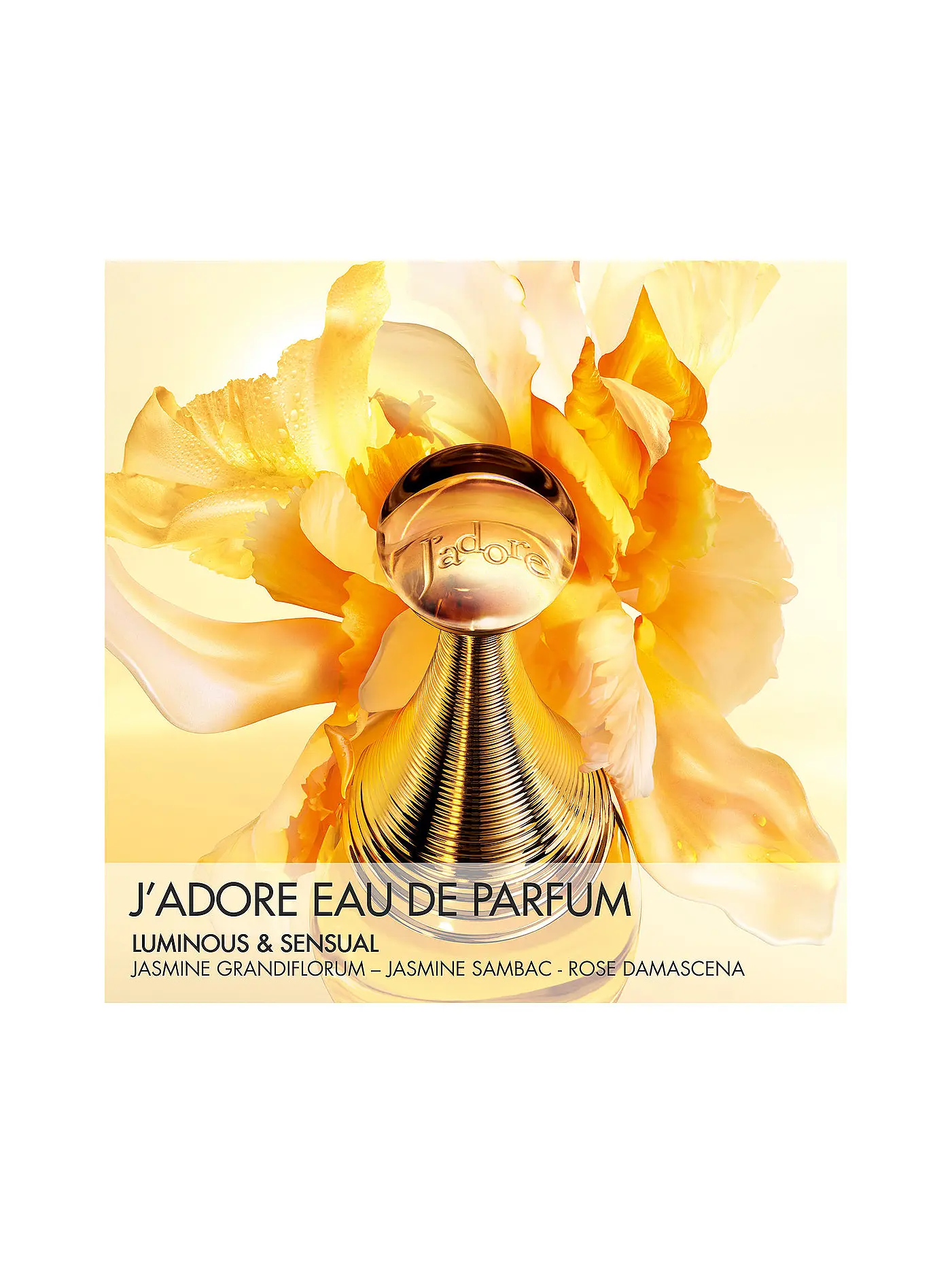 DIOR | J'adore Eau de Parfum 30ml | keine Farbe