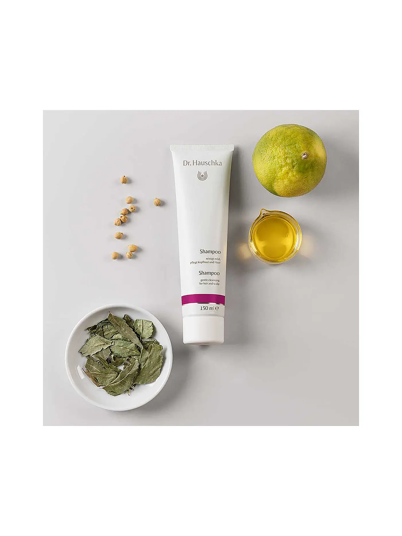 DR. HAUSCHKA | Shampoo 150ml | keine Farbe