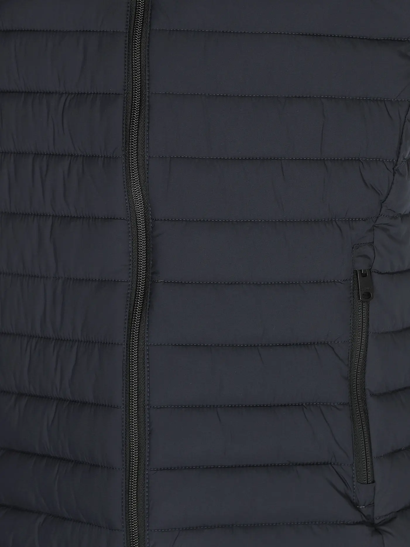 ECOALF | Steppgilet | blau