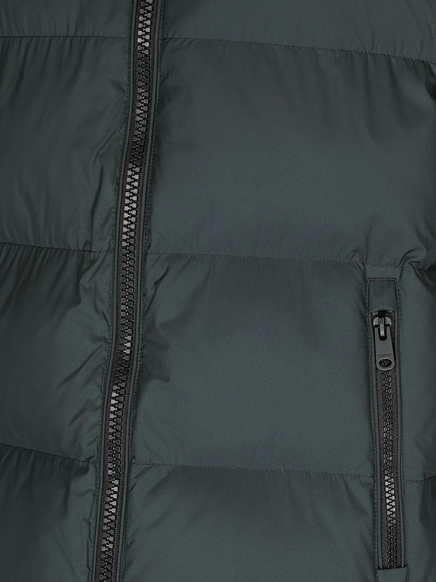 ECOALF | Steppjacke | dunkelgrün
