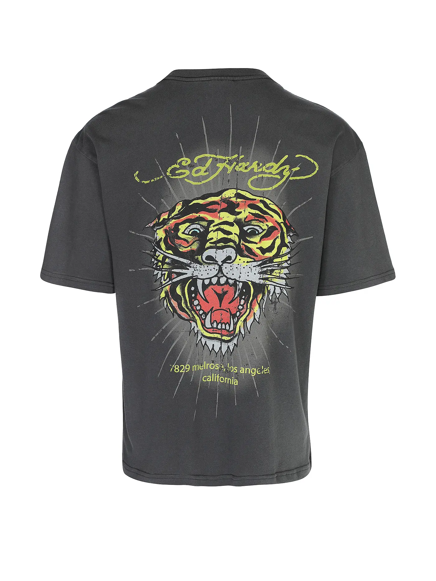 ED HARDY | T-Shirt  | grau