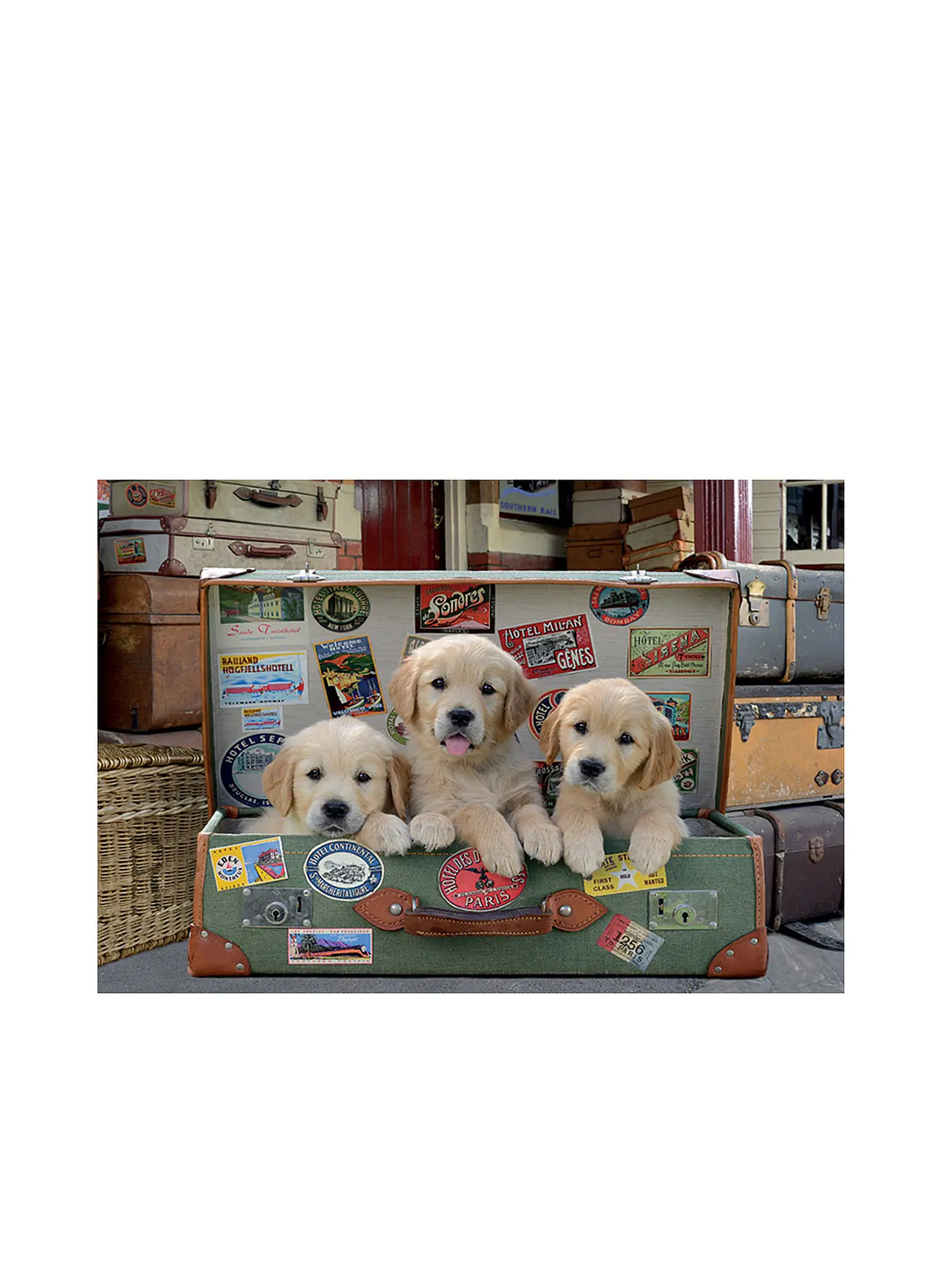 EDUCA | Puzzle - Hunde im Koffer 500 Teile | keine Farbe