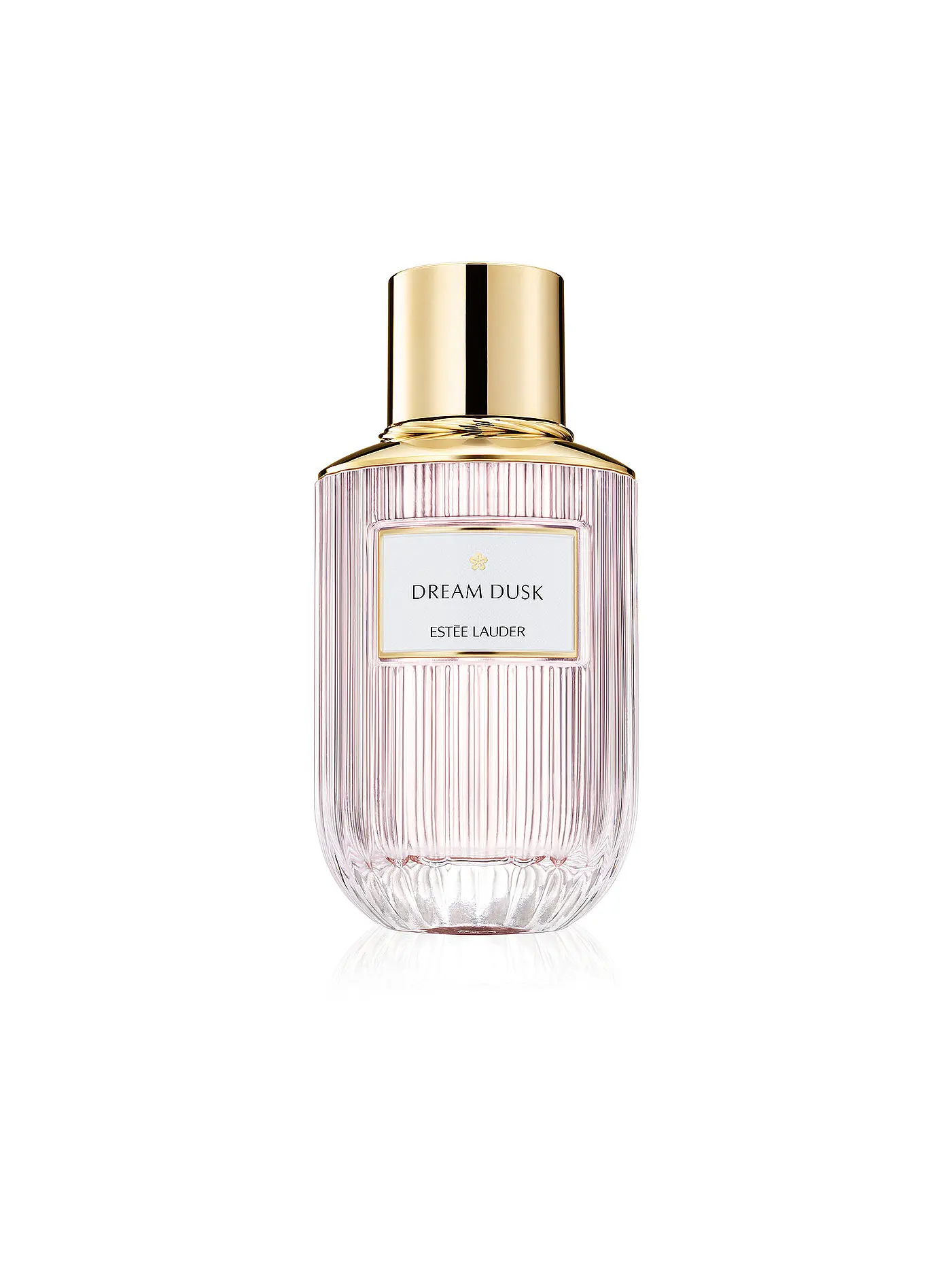 ESTÉE LAUDER | Dream Dusk Eau de Parfum 100ml | keine Farbe