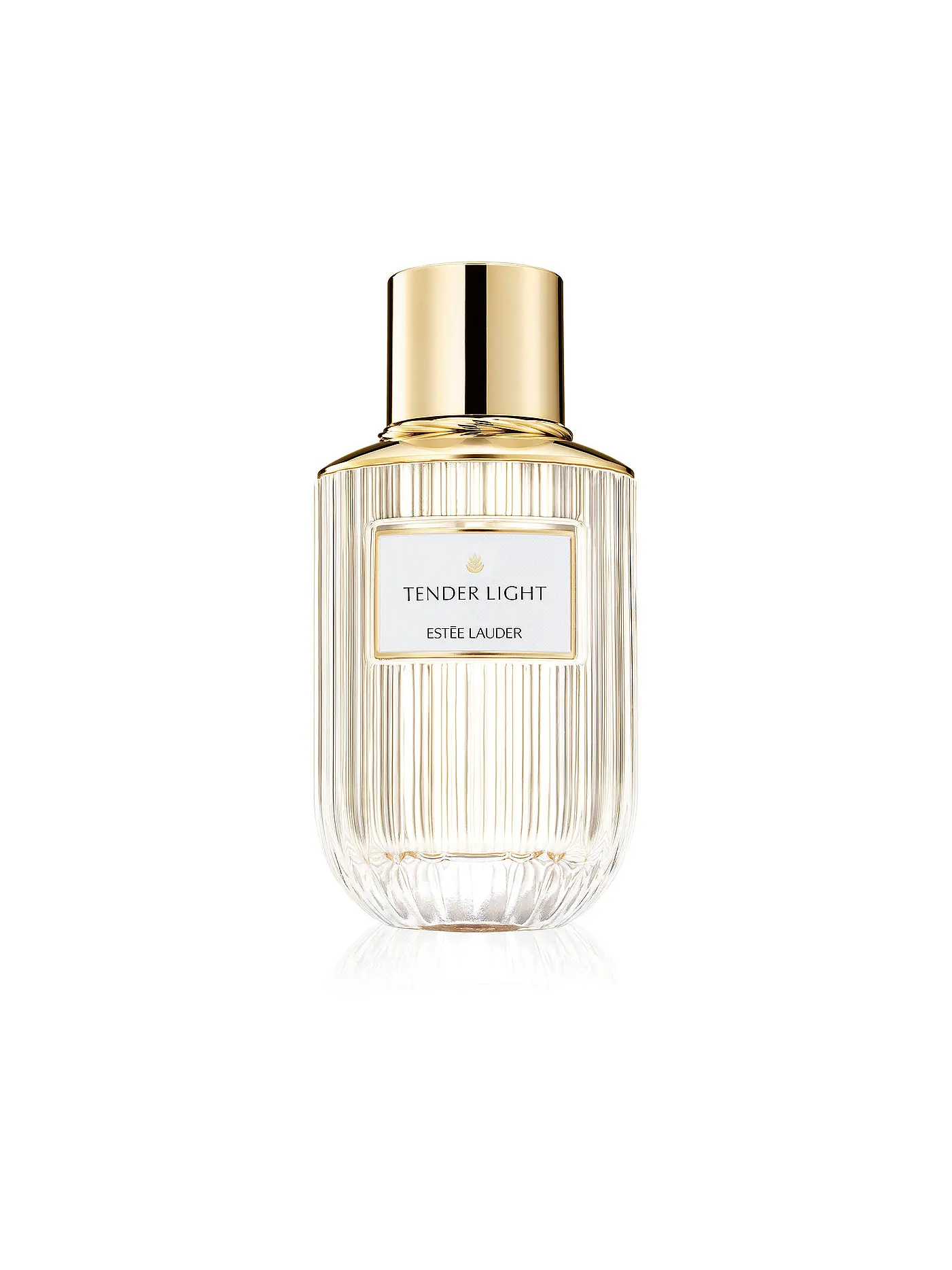 ESTÉE LAUDER | Tender Light Eau de Parfum 100ml | keine Farbe