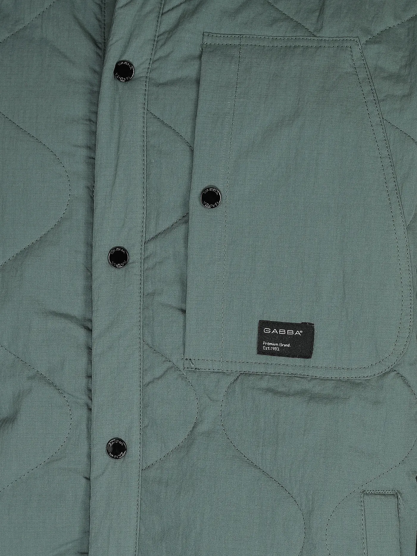 GABBA | Overshirt ASPEN | grün
