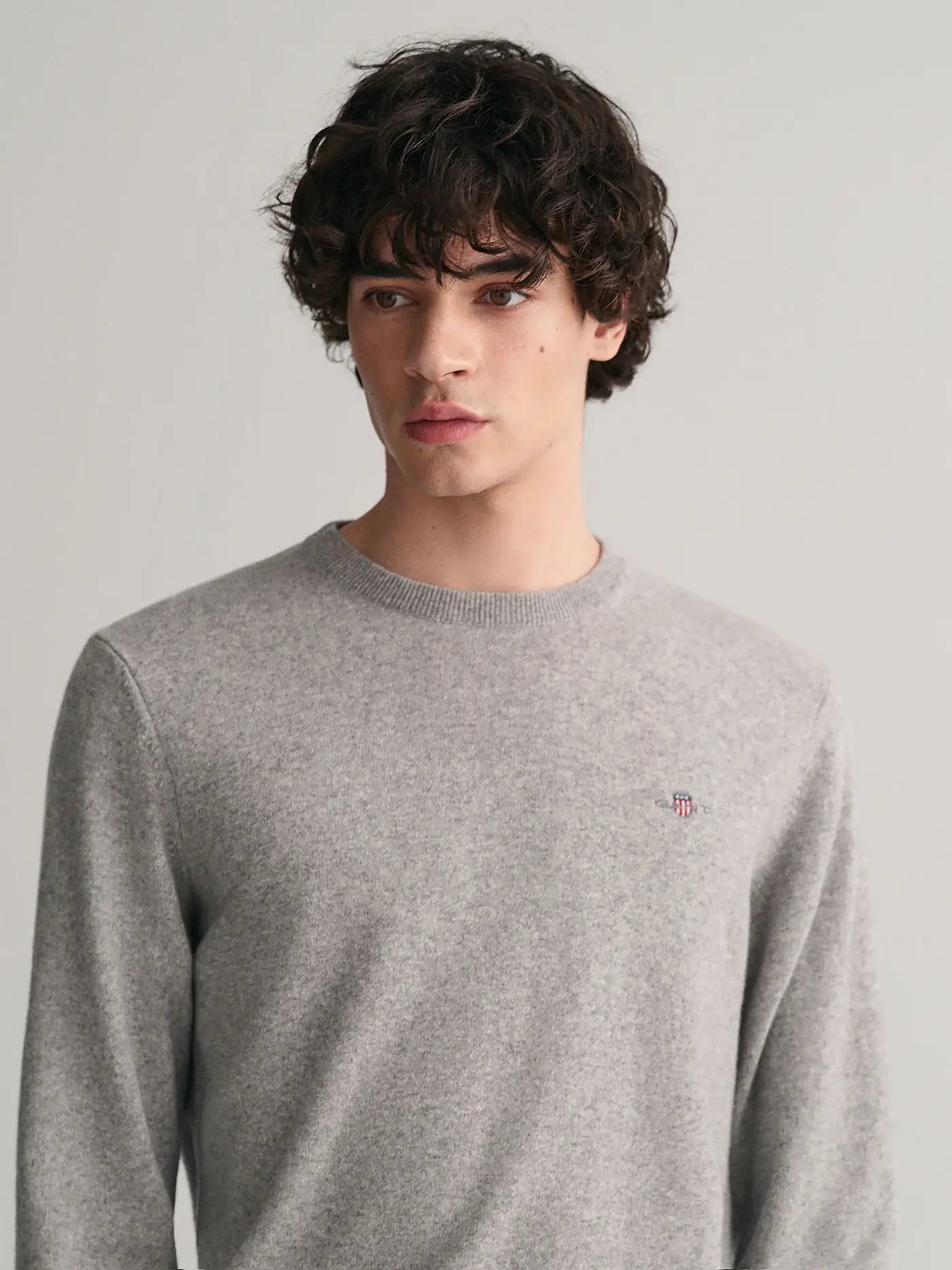 GANT | Pullover | grau