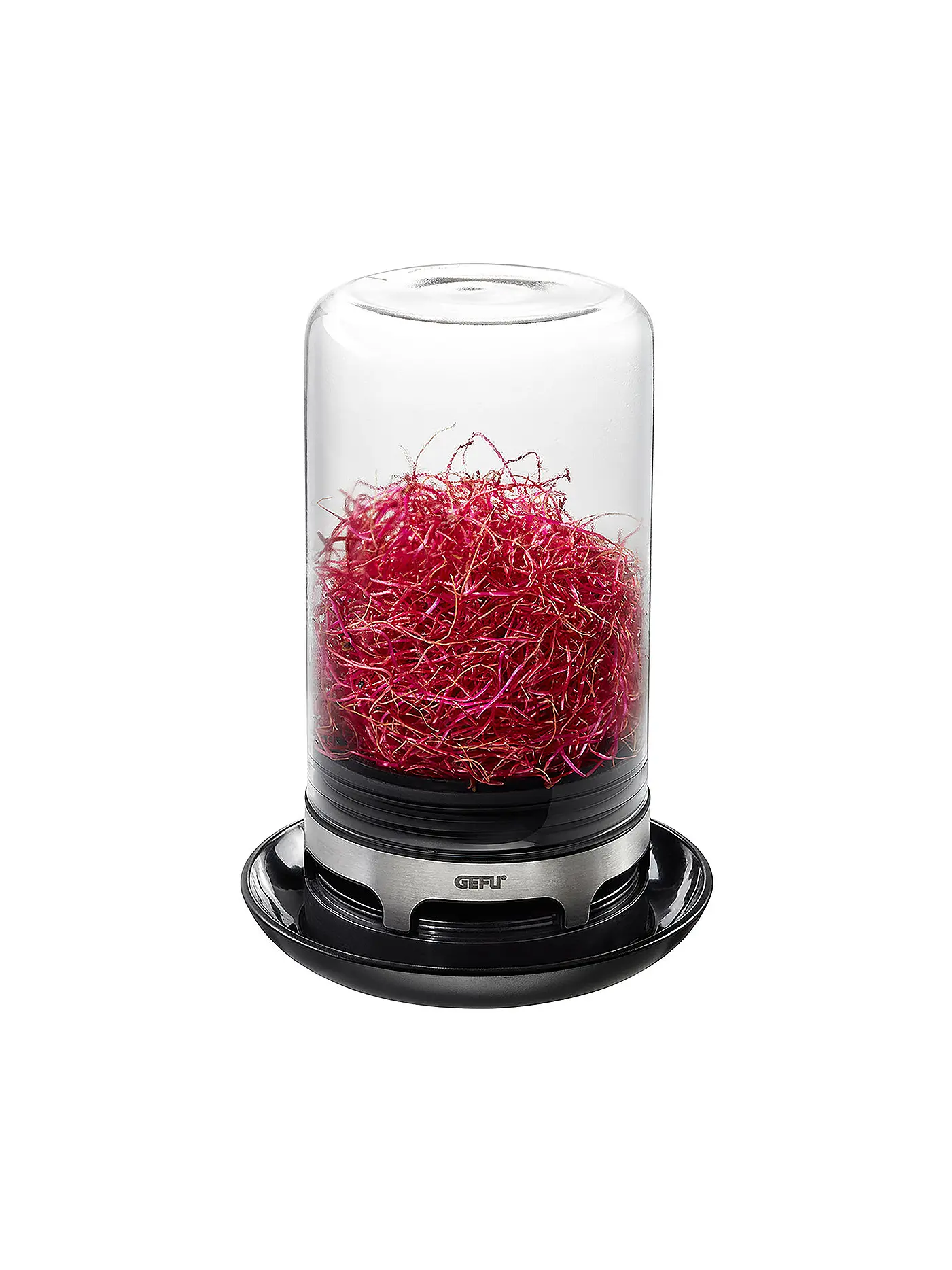 GEFU | Sprossenglas BIVITA 18cm | transparent