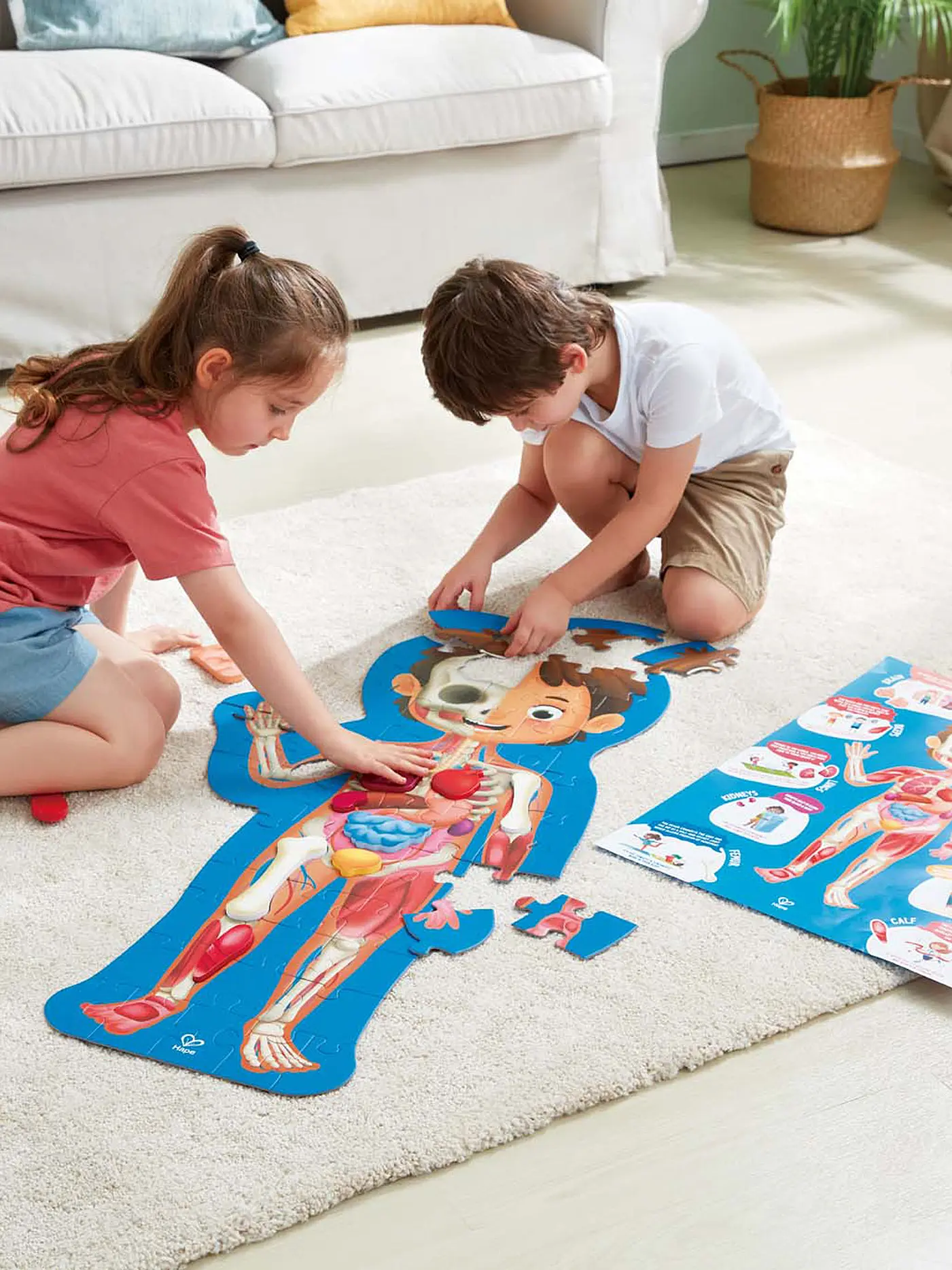 HAPE | Mein Körper | keine Farbe
