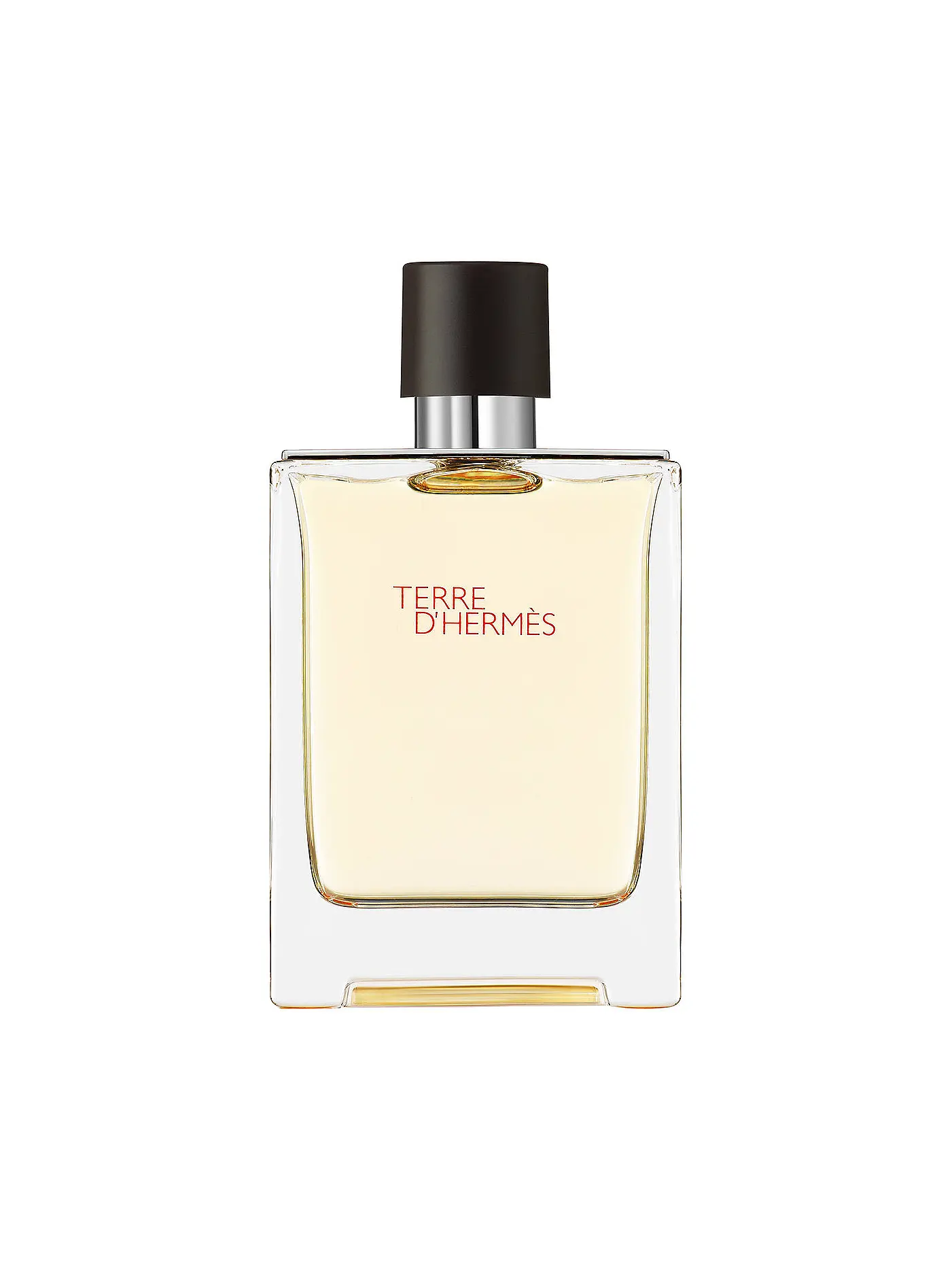 HERMÈS | Terre d'Hermès Eau de Toilette 100ml | keine Farbe