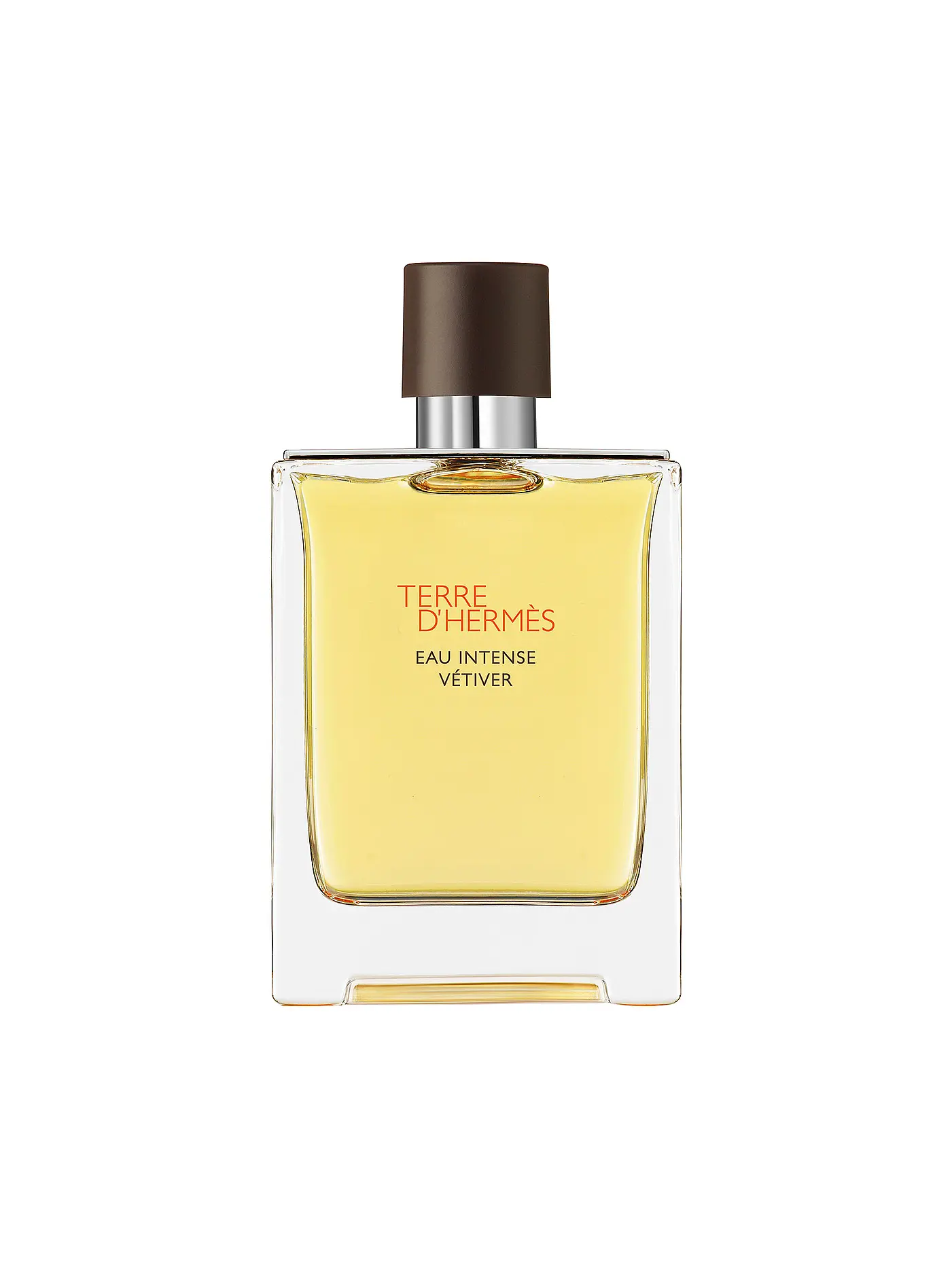 HERMÈS | Terre d’Hermès Eau Intense Vétiver Eau de Parfum 100ml | keine Farbe