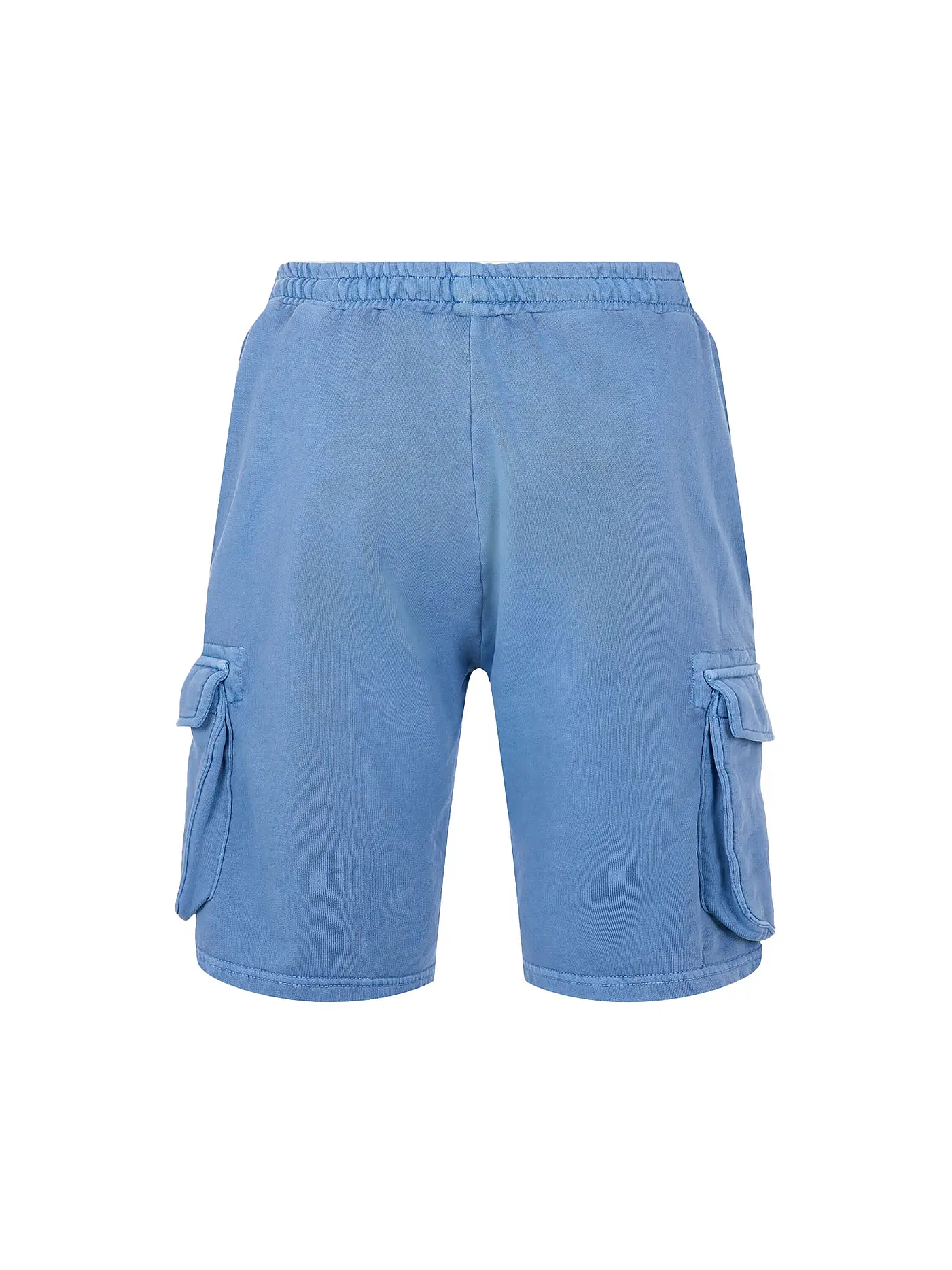 KNOWLEDGE COTTON APPAREL | Cargoshorts | blau