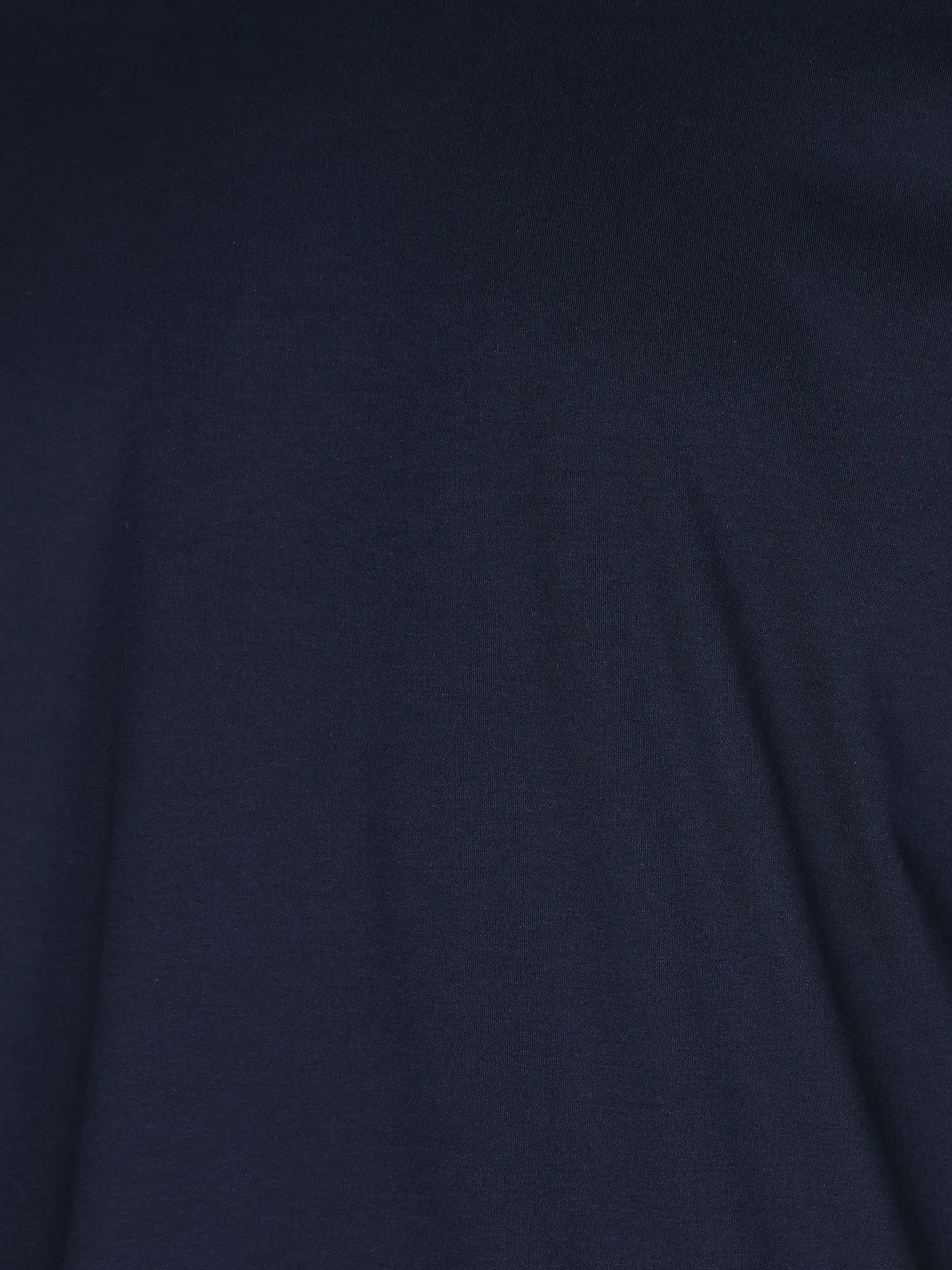 LACOSTE | Rollkragenshirt | blau